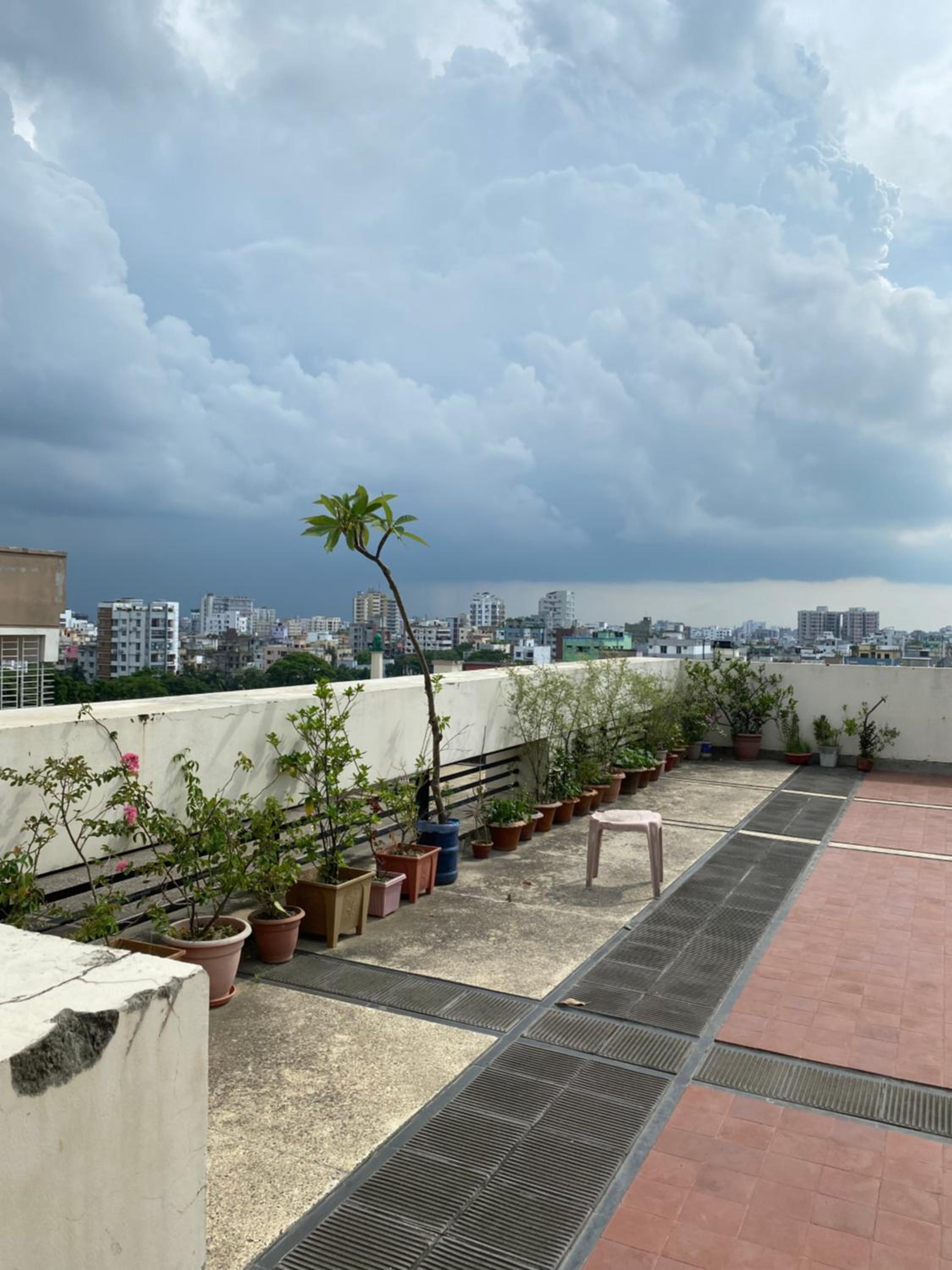 Charming 3-Bed Apartment in Mohammadpur Dhaka