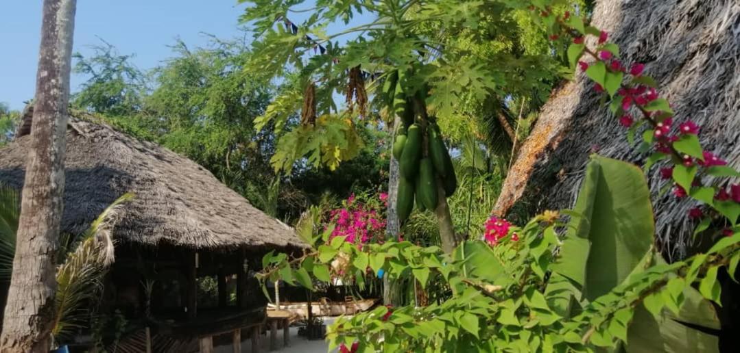Furaha Lodge view 4