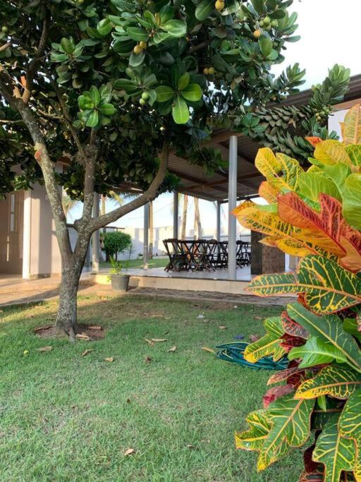 Casa da Ponta da Fruta