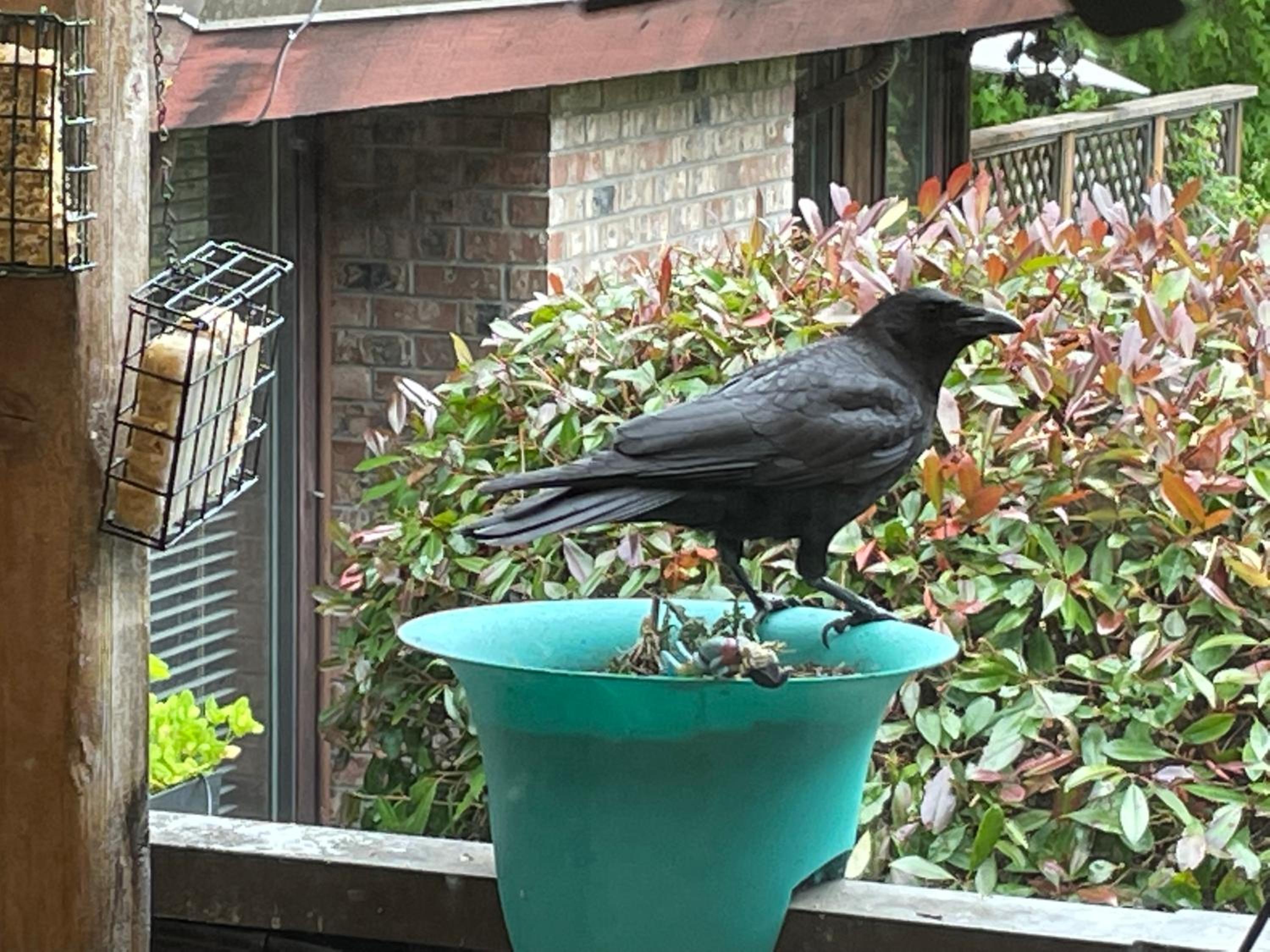 Coles Bay Vacation Retreat
