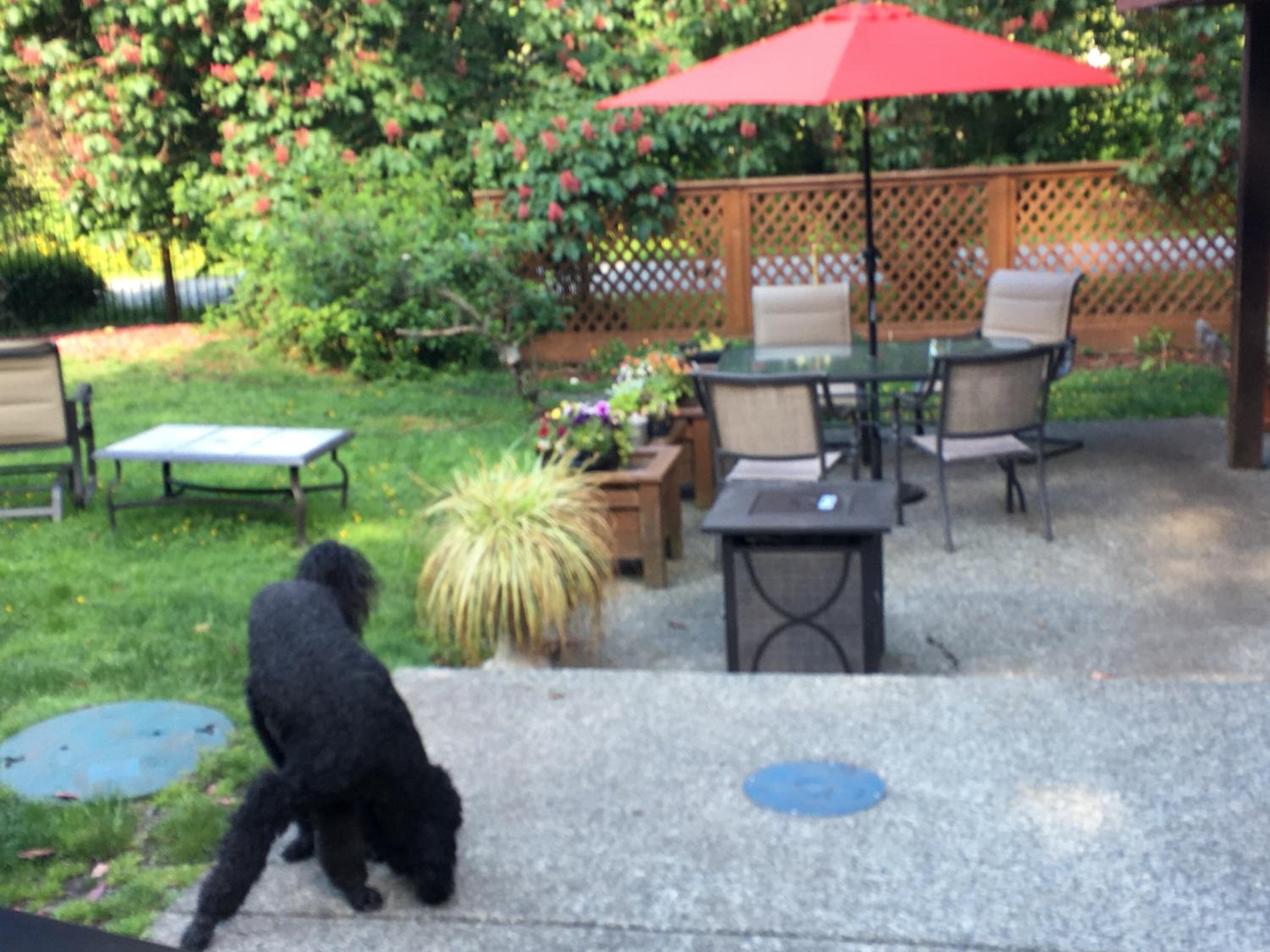 Coles Bay Vacation Retreat