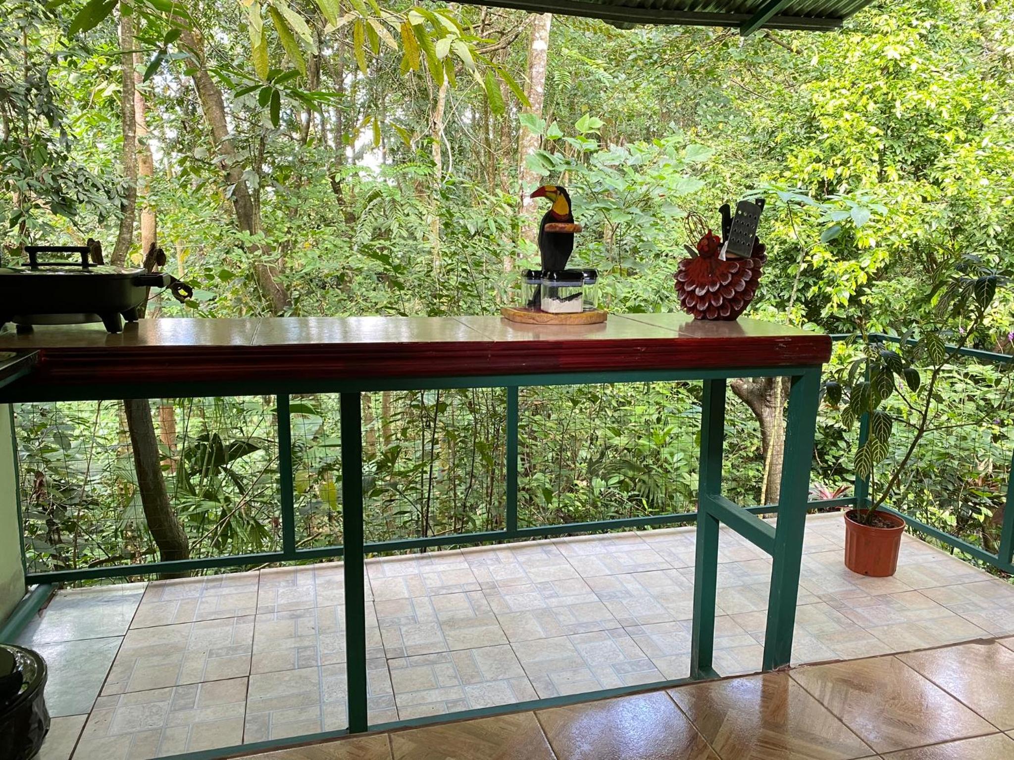 Photo 17