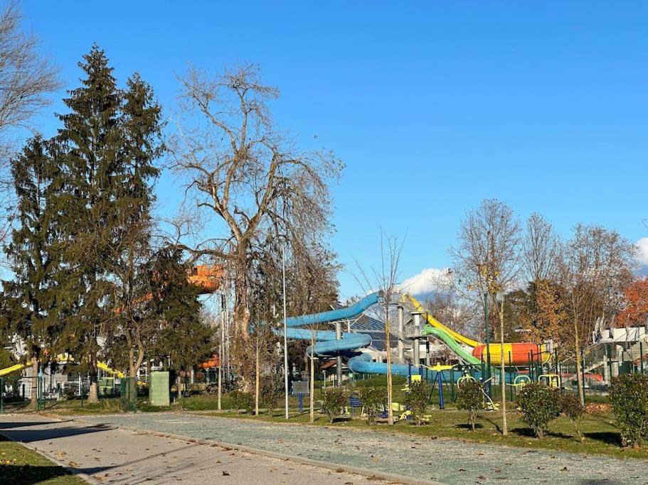Orhideja