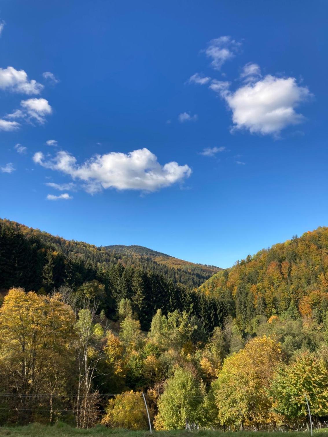 Roubenka Kryštofovo Údolí