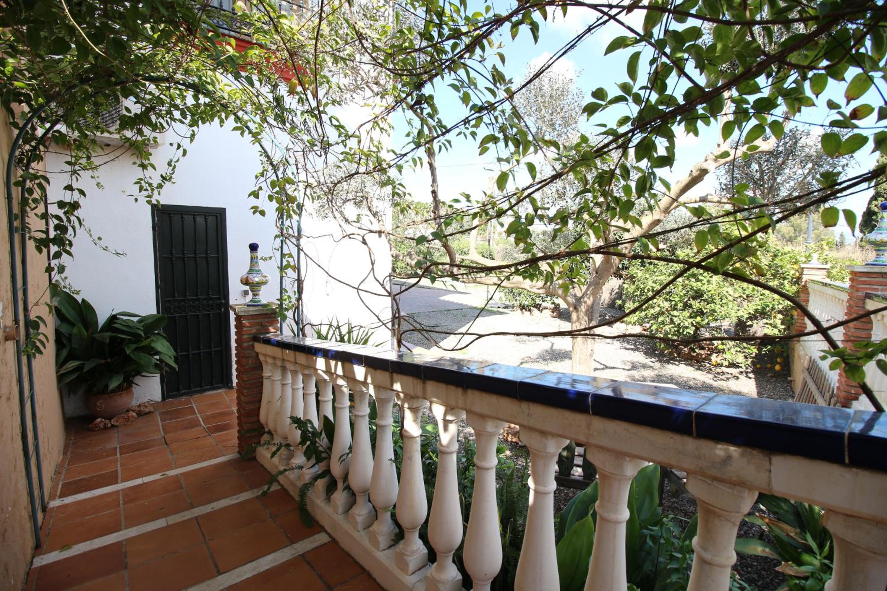 El paraíso tropical en Málaga