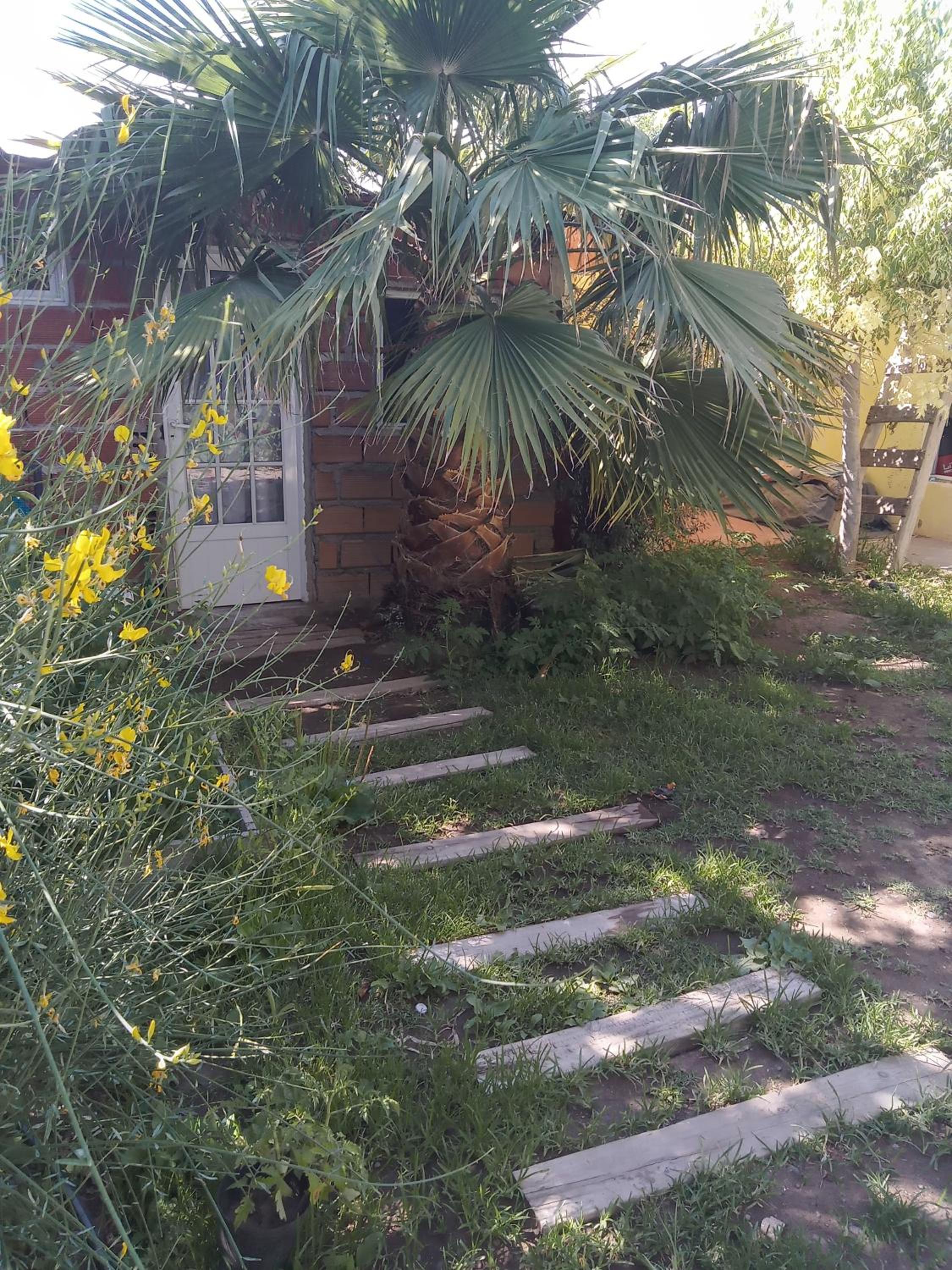 Las Margaritas