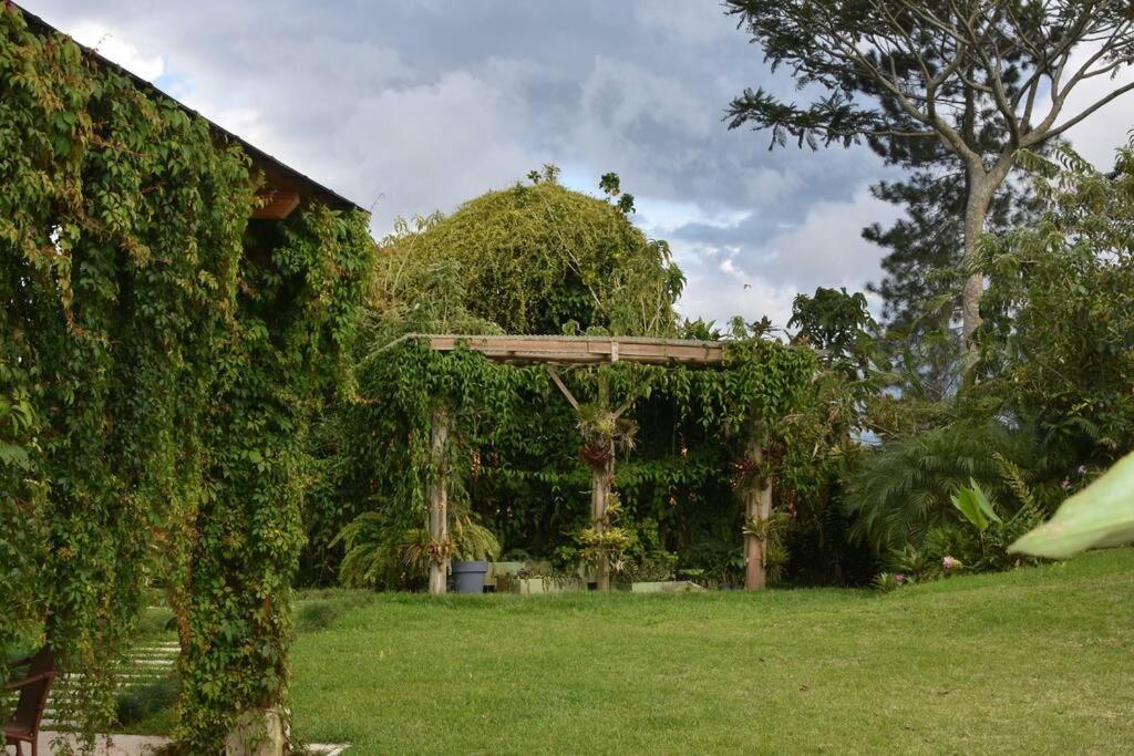 Cabin at Los Titos Coffee Farm