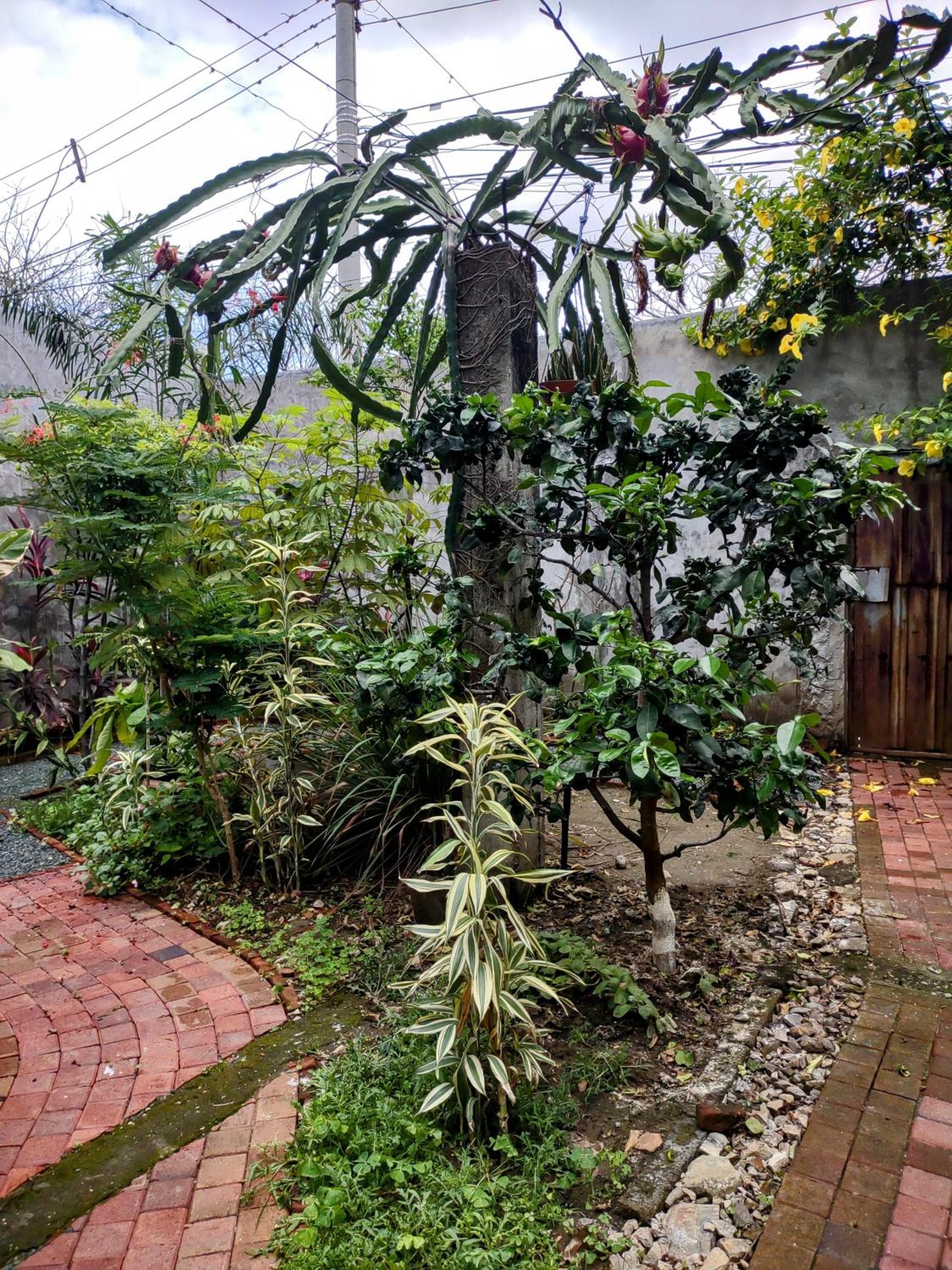 Hostal Macaw, photo 20