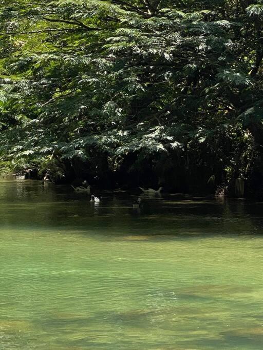 Finca San Rafael cerca al rio Wifi 6-12 personas