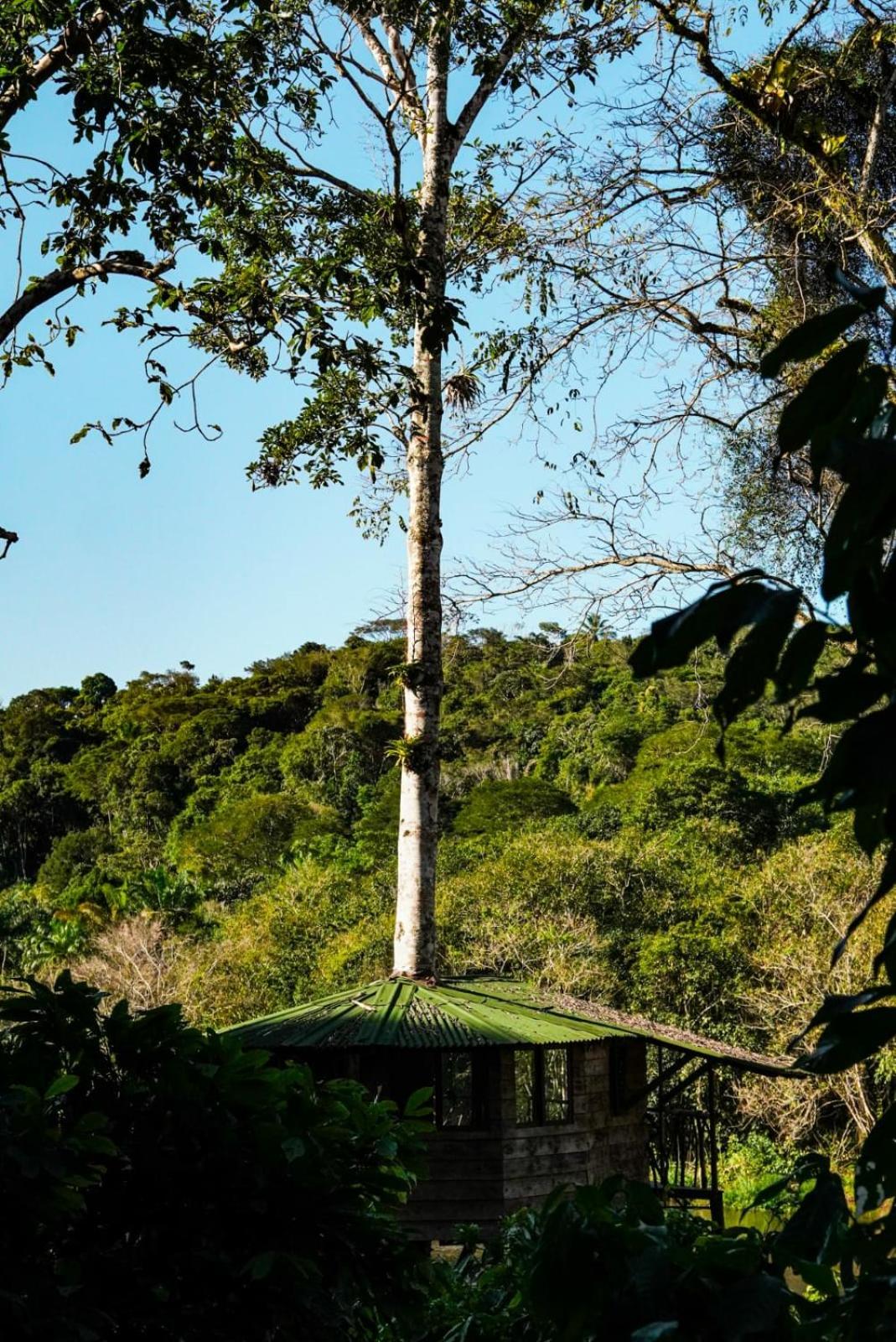 Moradia da Mata