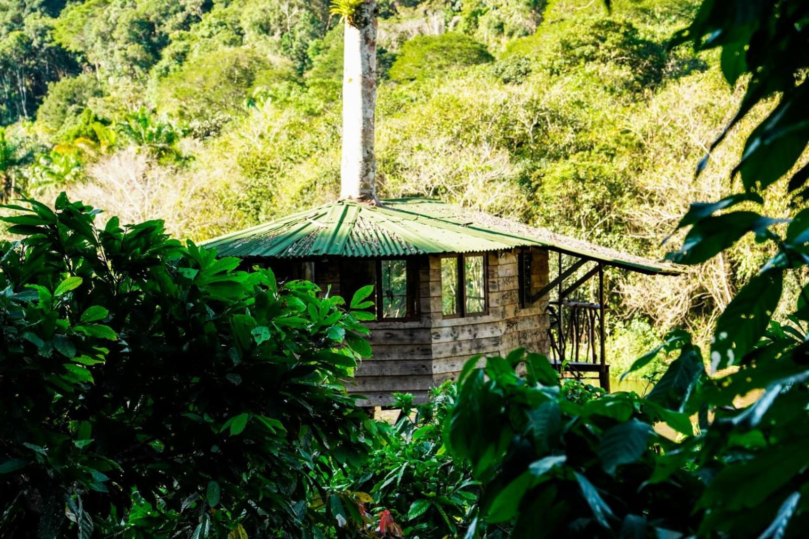 Moradia da Mata