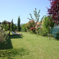 Photo 37
