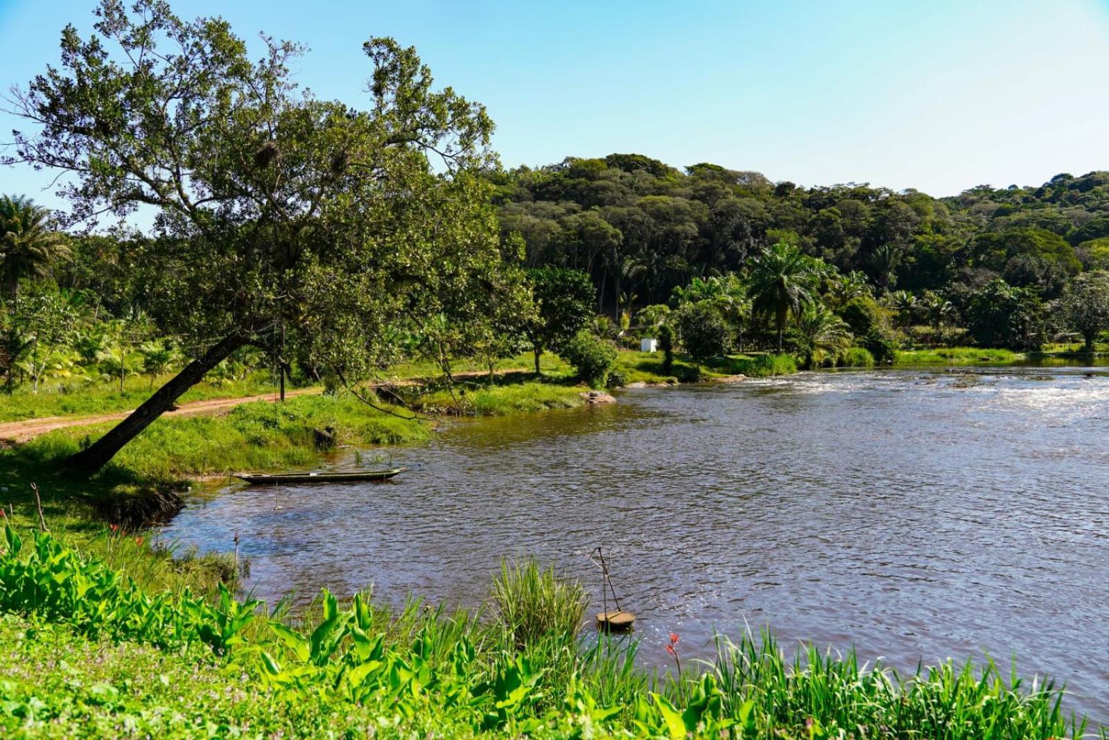 Moradia da Mata