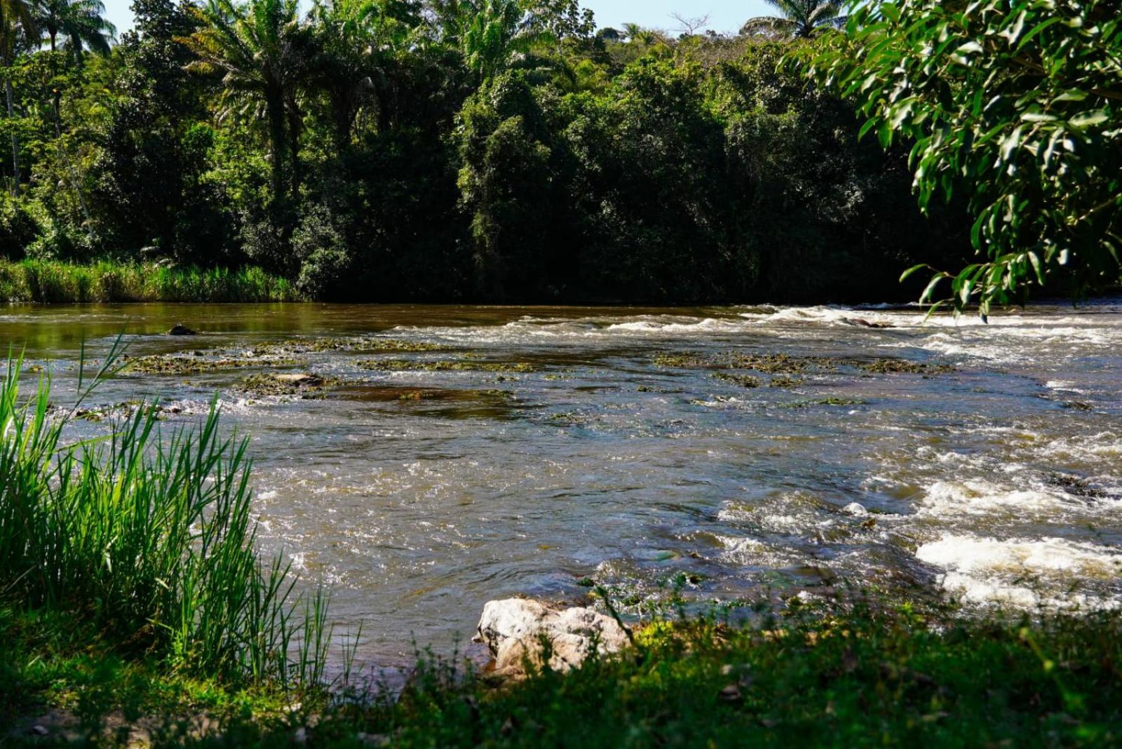 Moradia da Mata