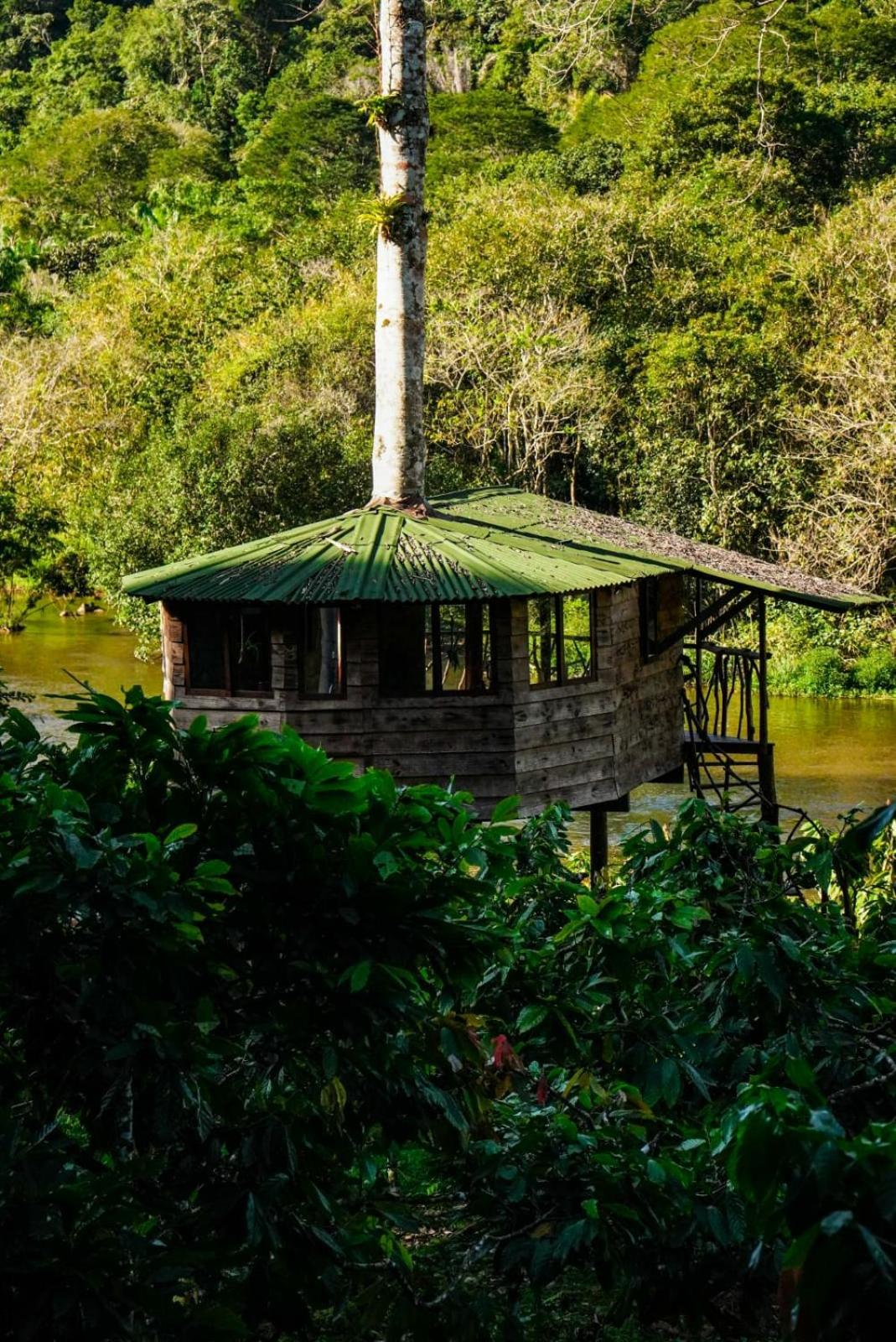 Moradia da Mata