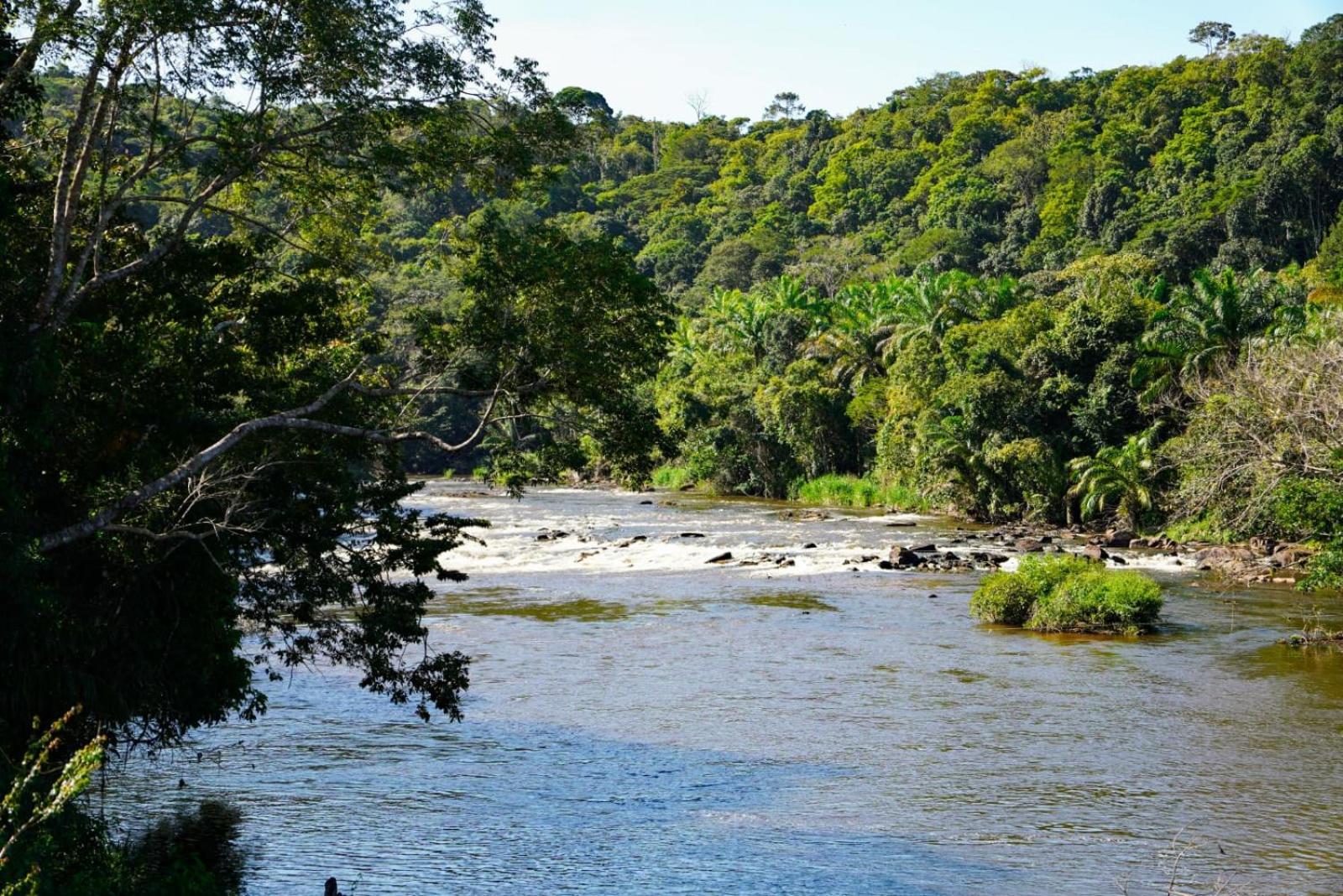 Moradia da Mata