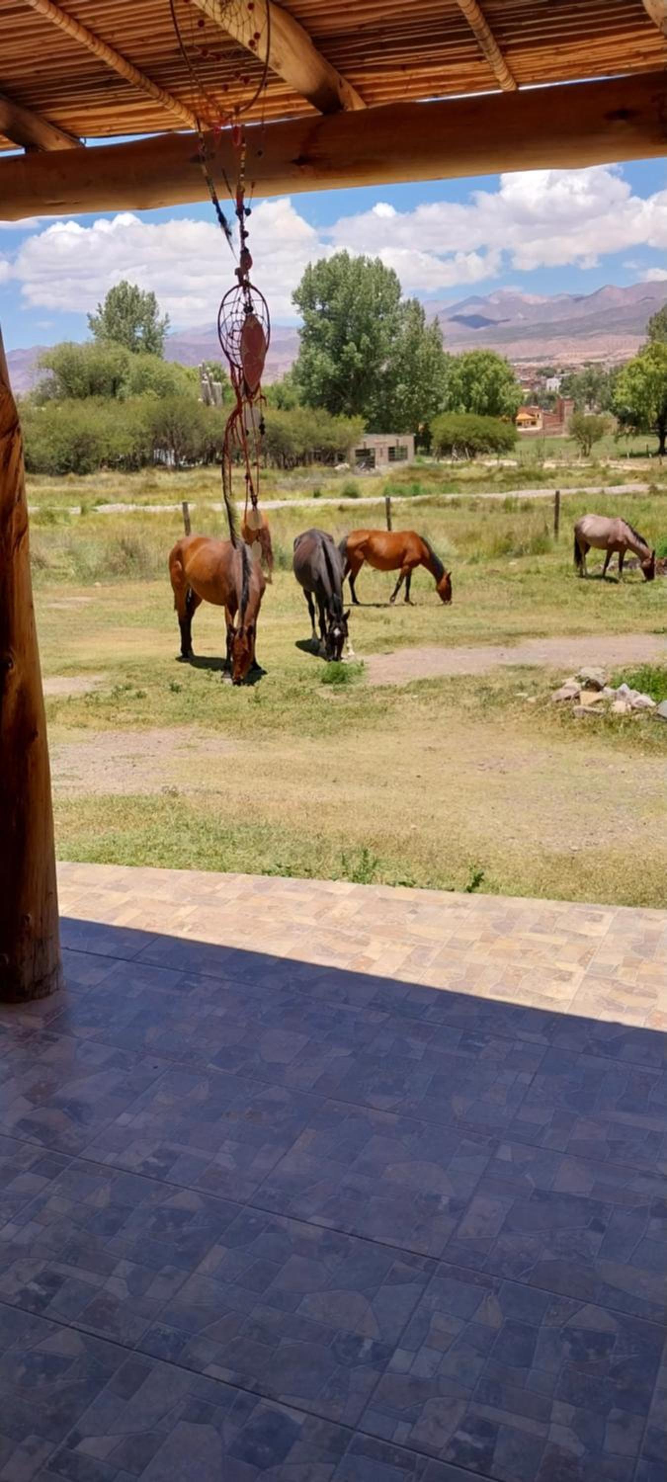 Cabañitas EL REPOSO HUMAHUACA