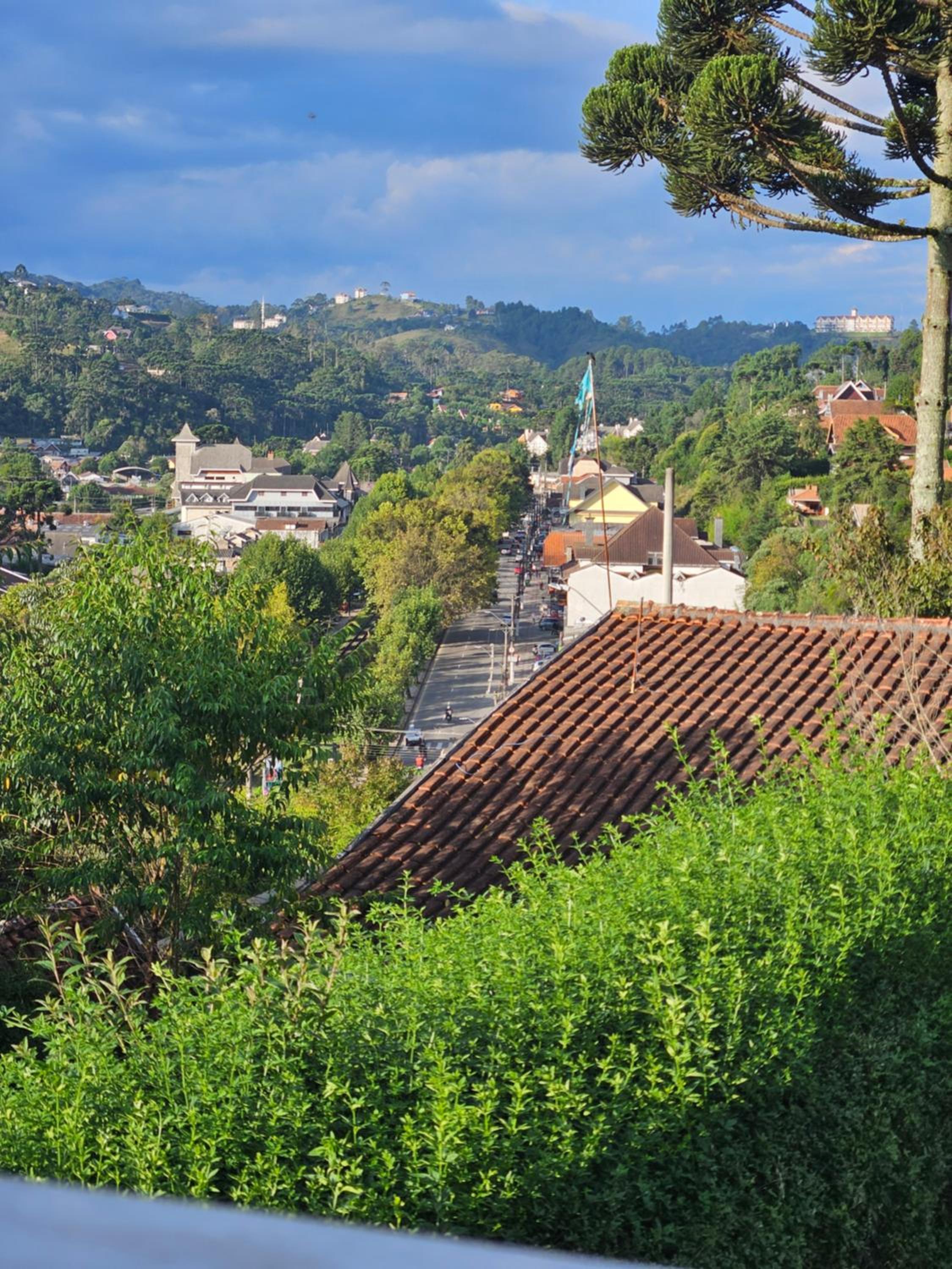 Pousada Araucária Suítes