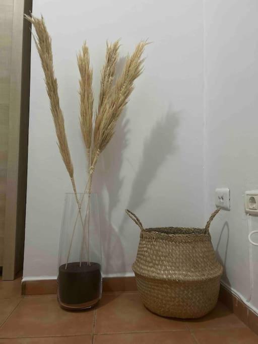 Casa Lunita photo 3