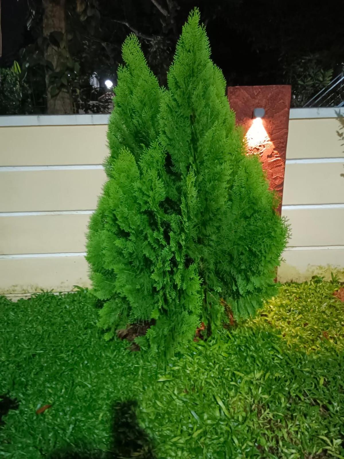 Photo 58
