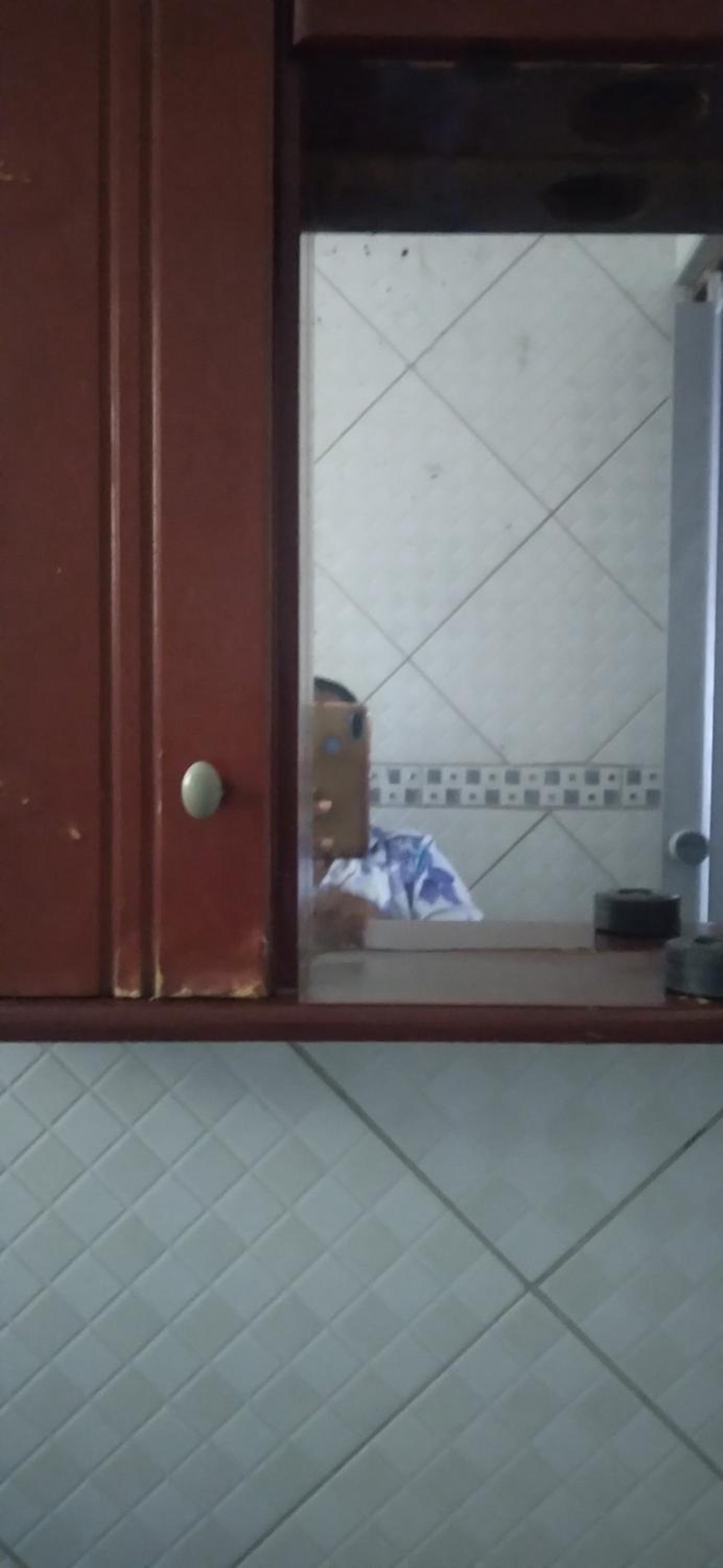 Apartamento da Vilma