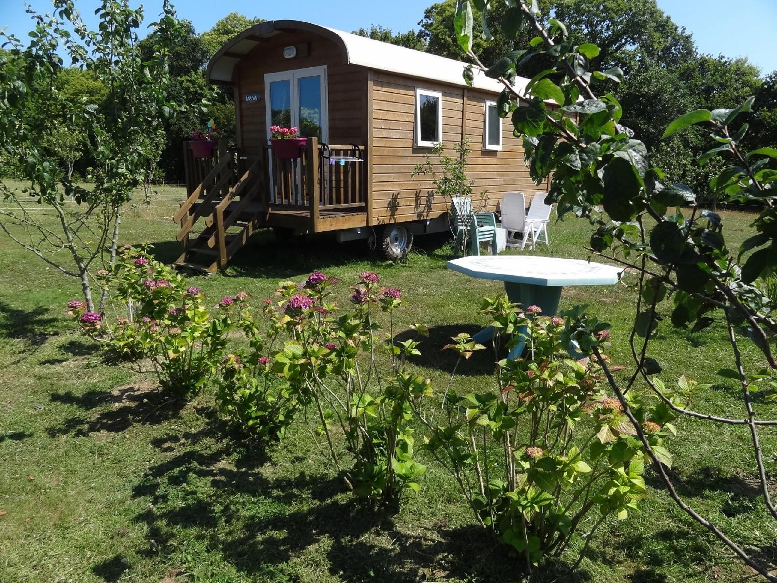 Photo 19