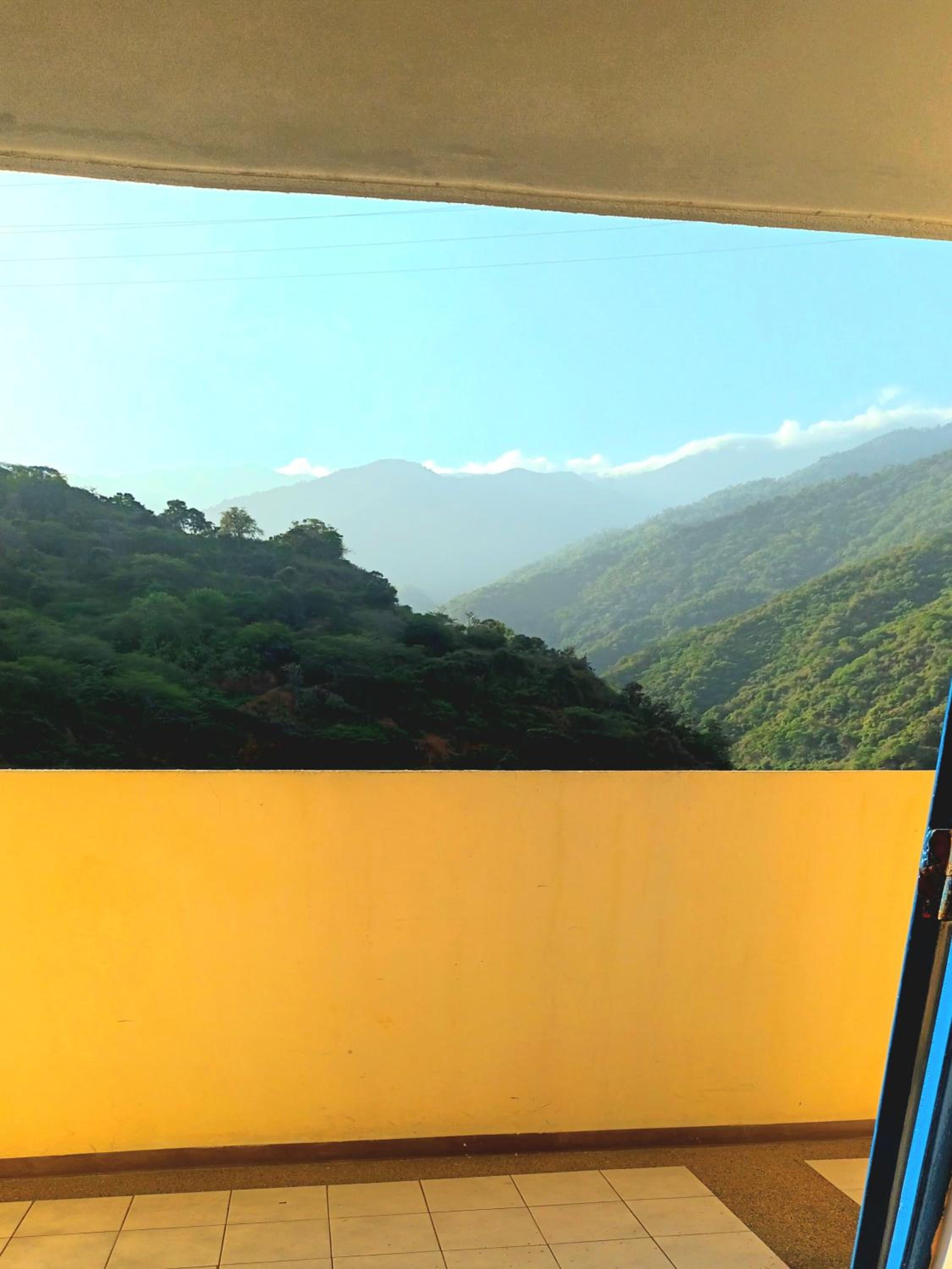Las orquideas view 4