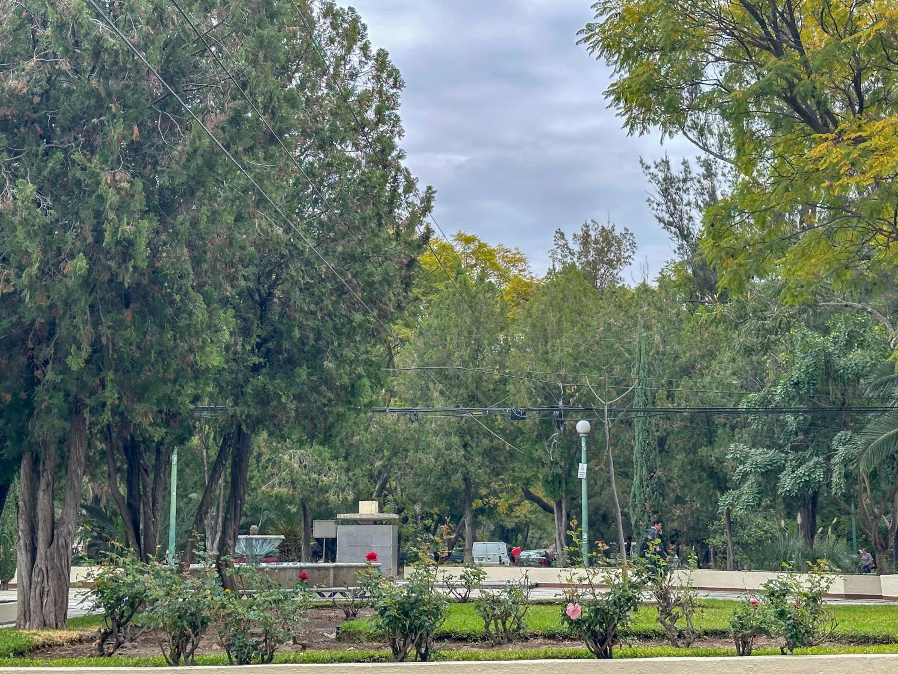 Estudio Doble, 2 Camas en el corazón de Chapalita 13