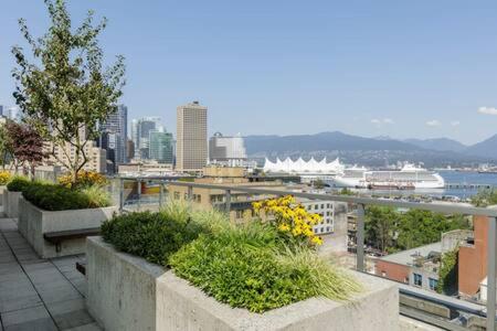 1BR Stunning view in DT Gastown