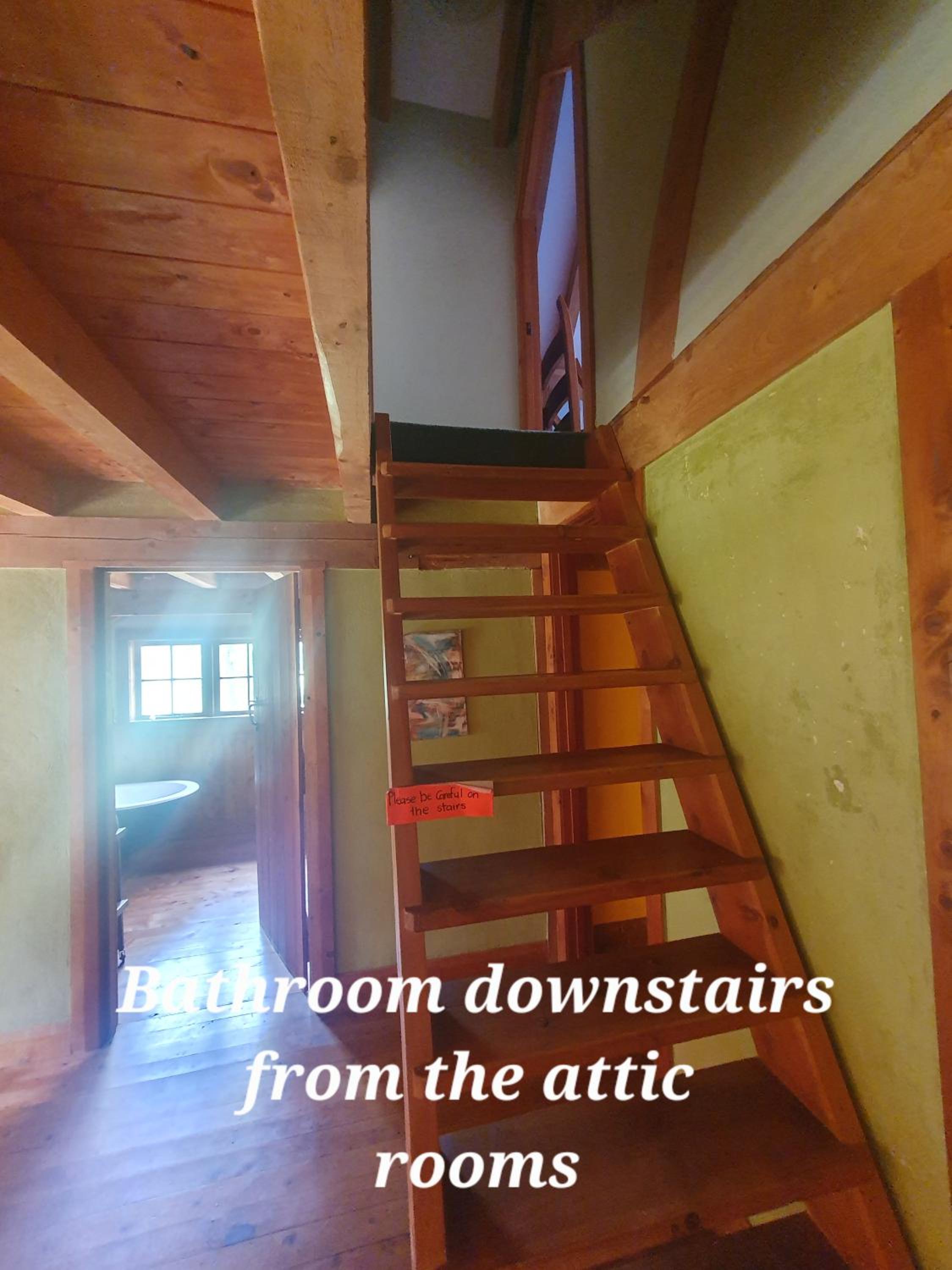 Photo 48