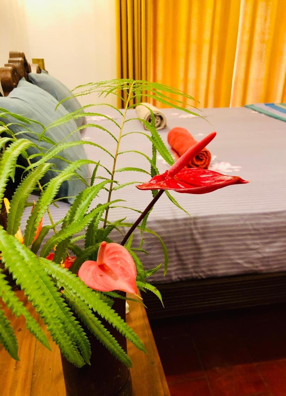 Saman Resort Surfers Paradise