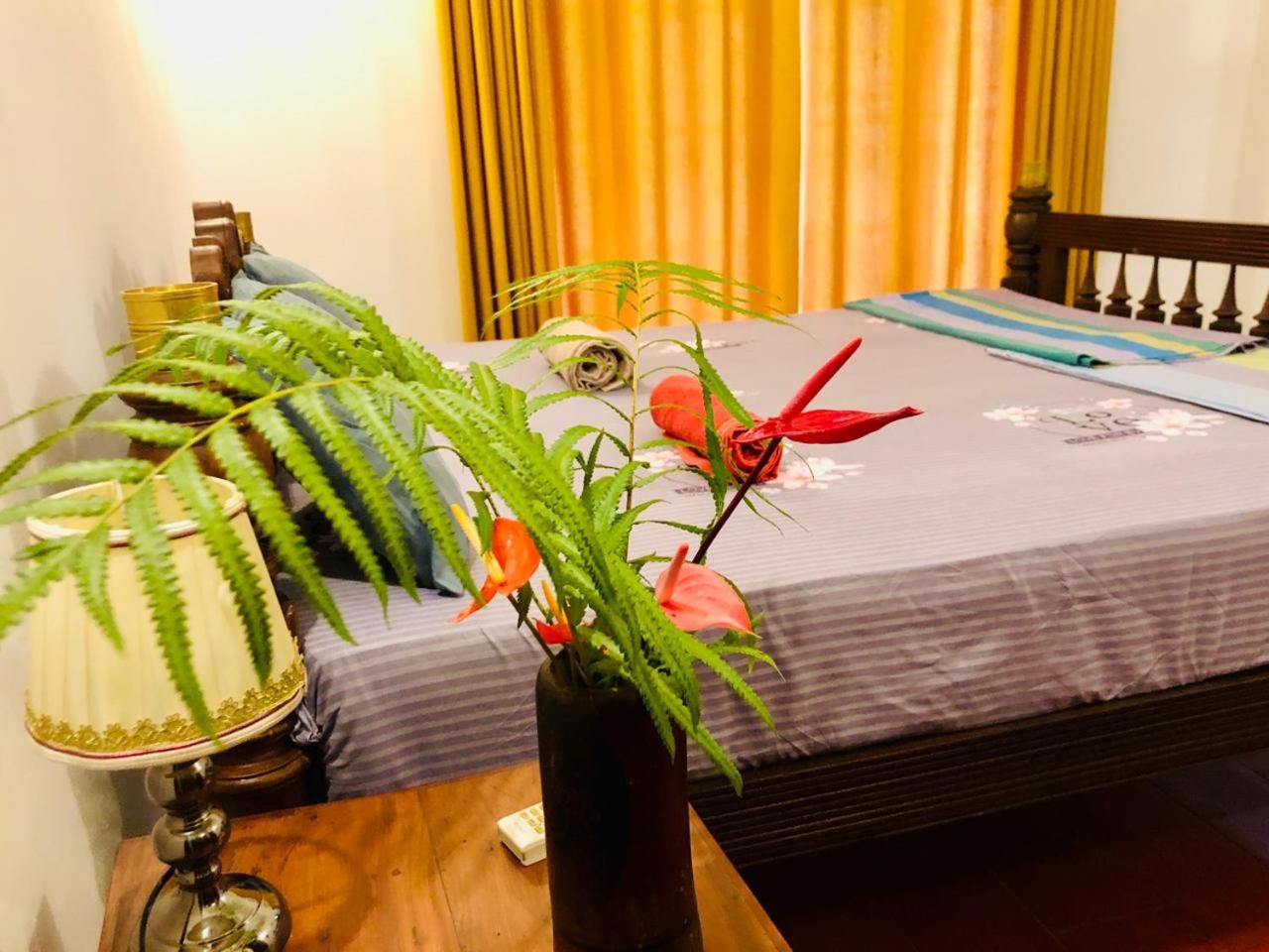 Saman Resort Surfers Paradise