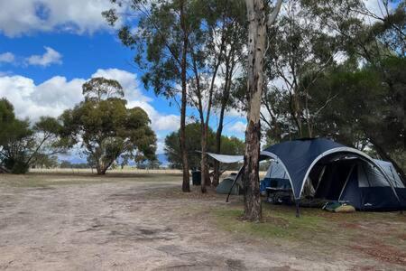 Tiny House 18 at Grampians Edge