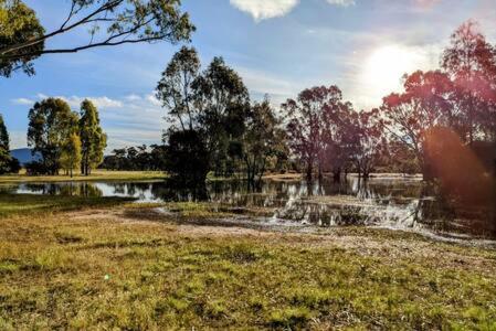 Tiny House 18 at Grampians Edge
