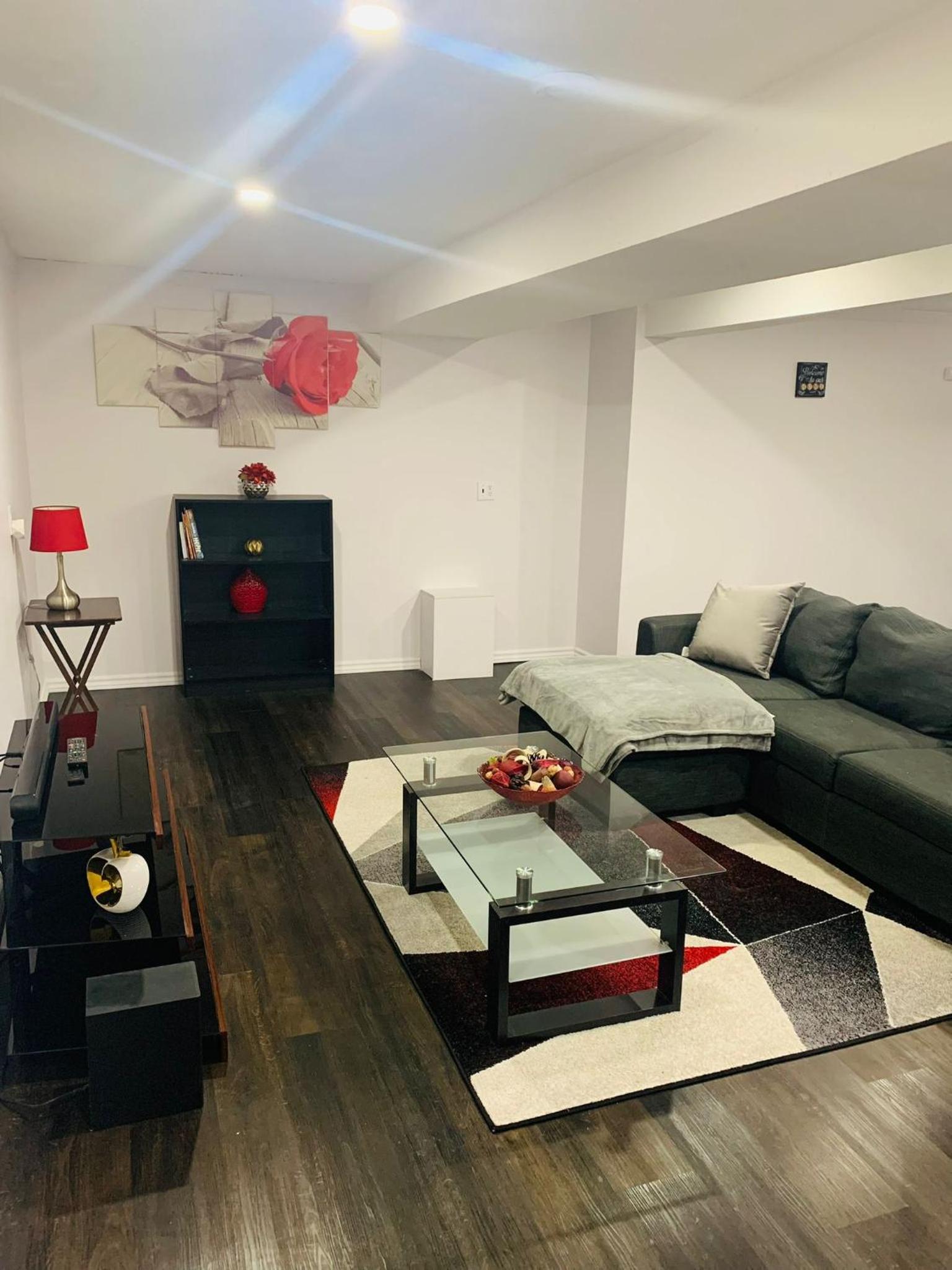 LUXURY BASEMENT