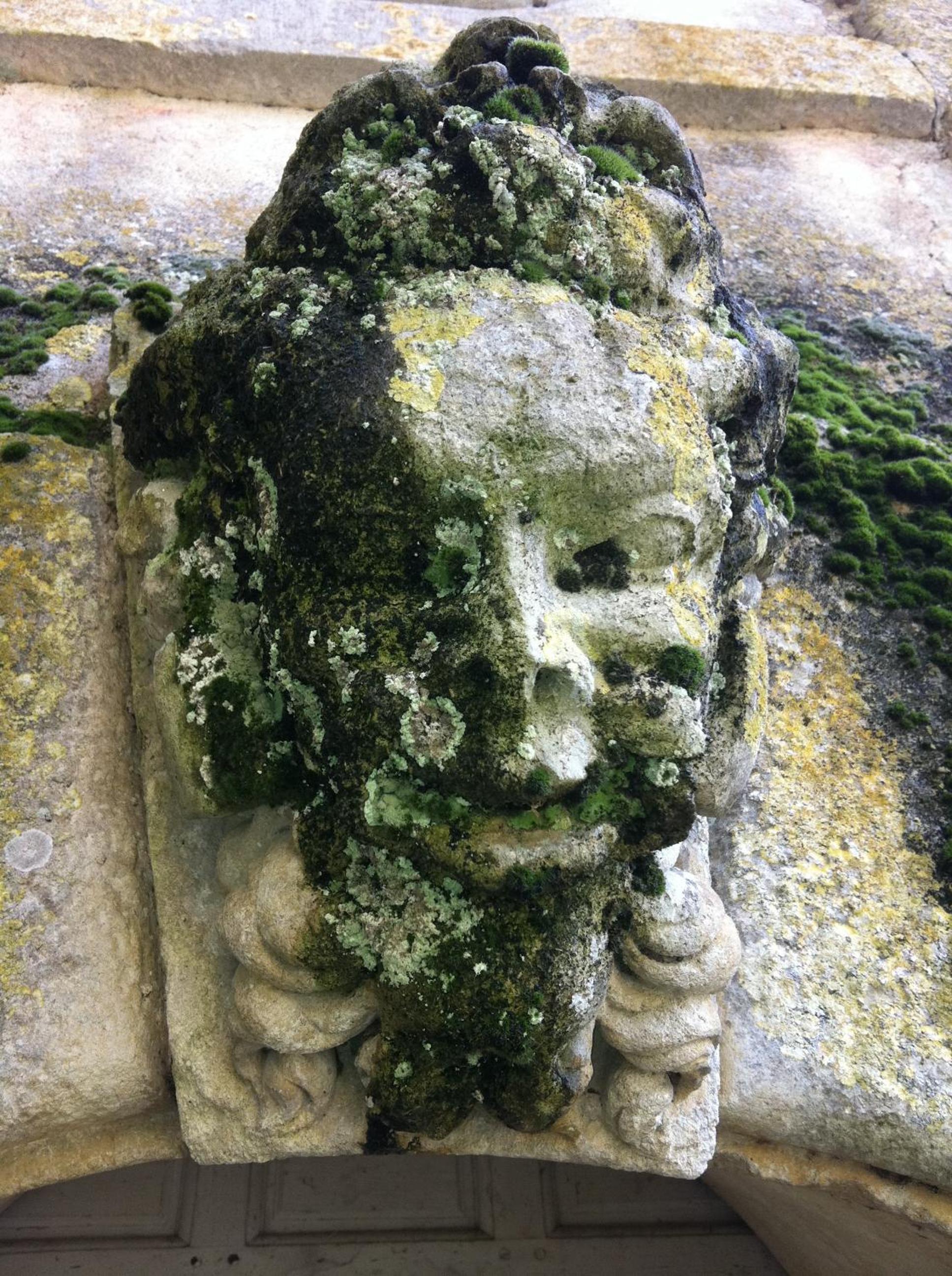 Photo 43