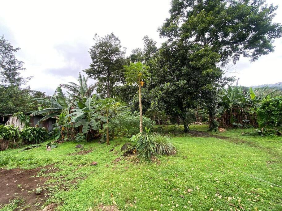 Jardín Del Bosque
