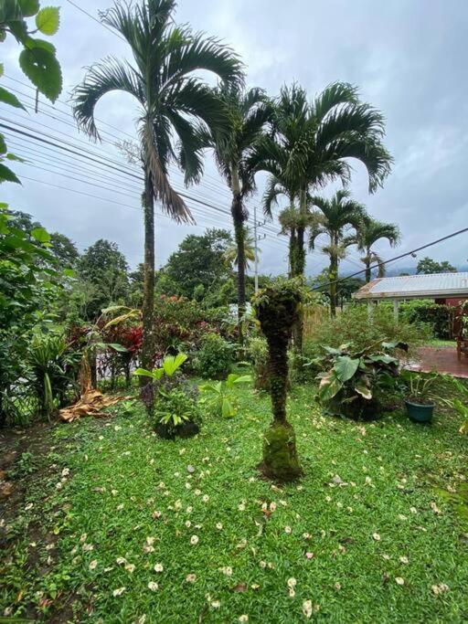 Jardín Del Bosque