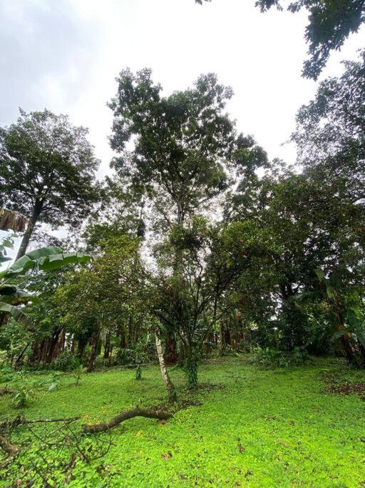 Jardín Del Bosque