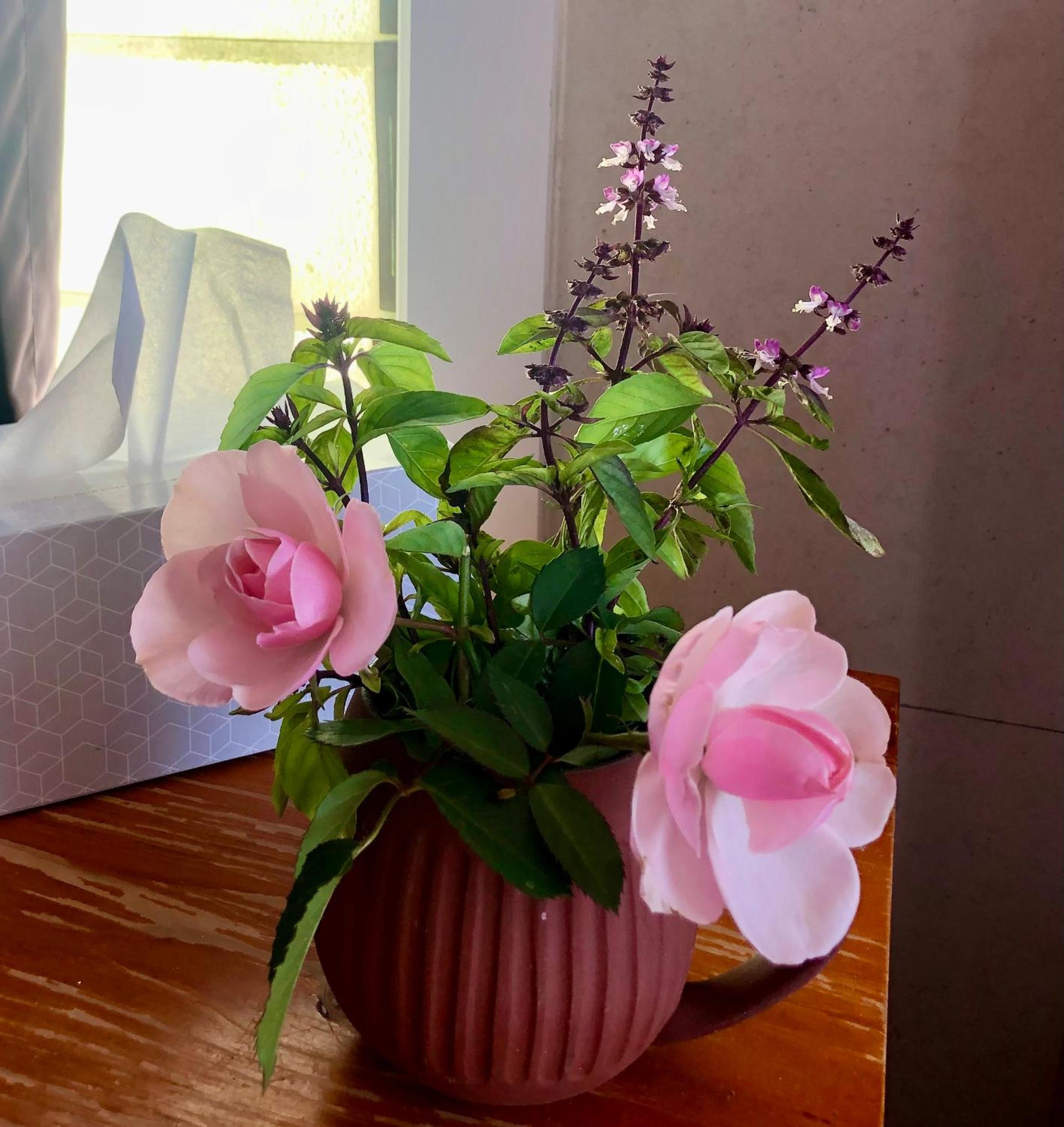 Corella Creek Country Farm Stay