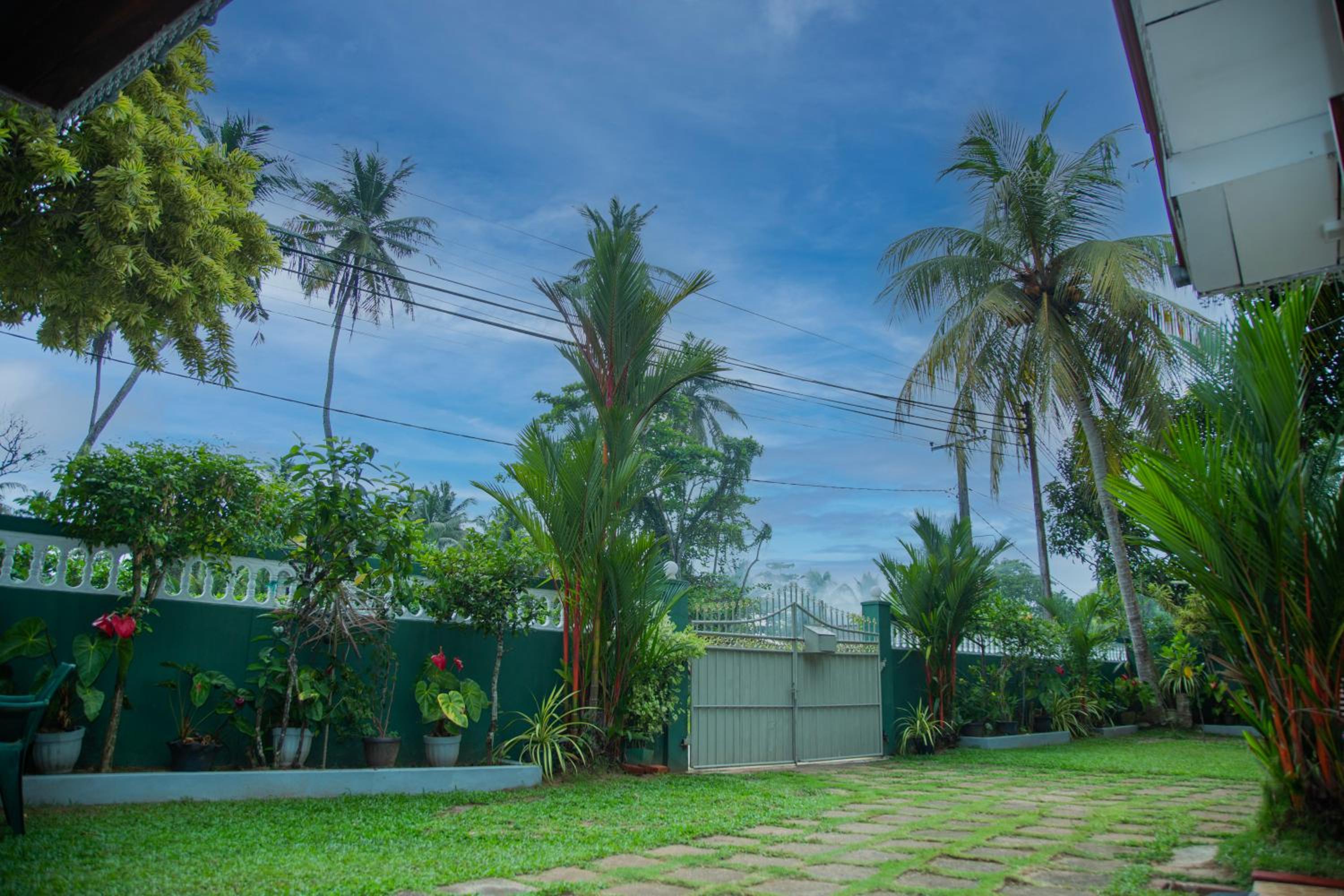 Red Palm Villa view 2