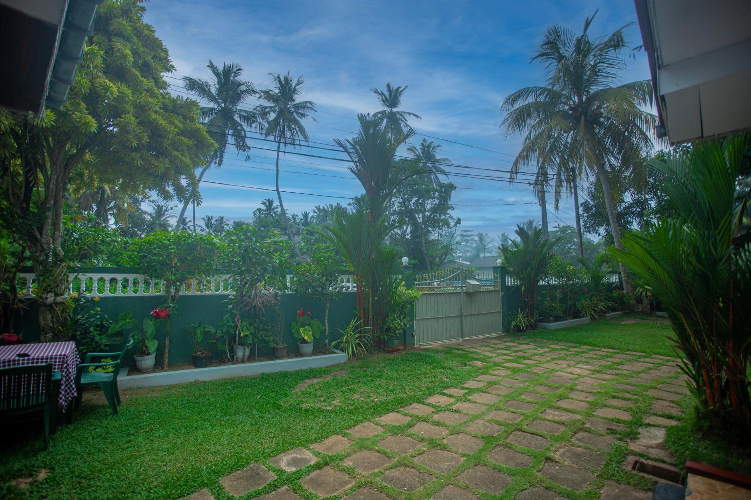 Red Palm Villa view 4