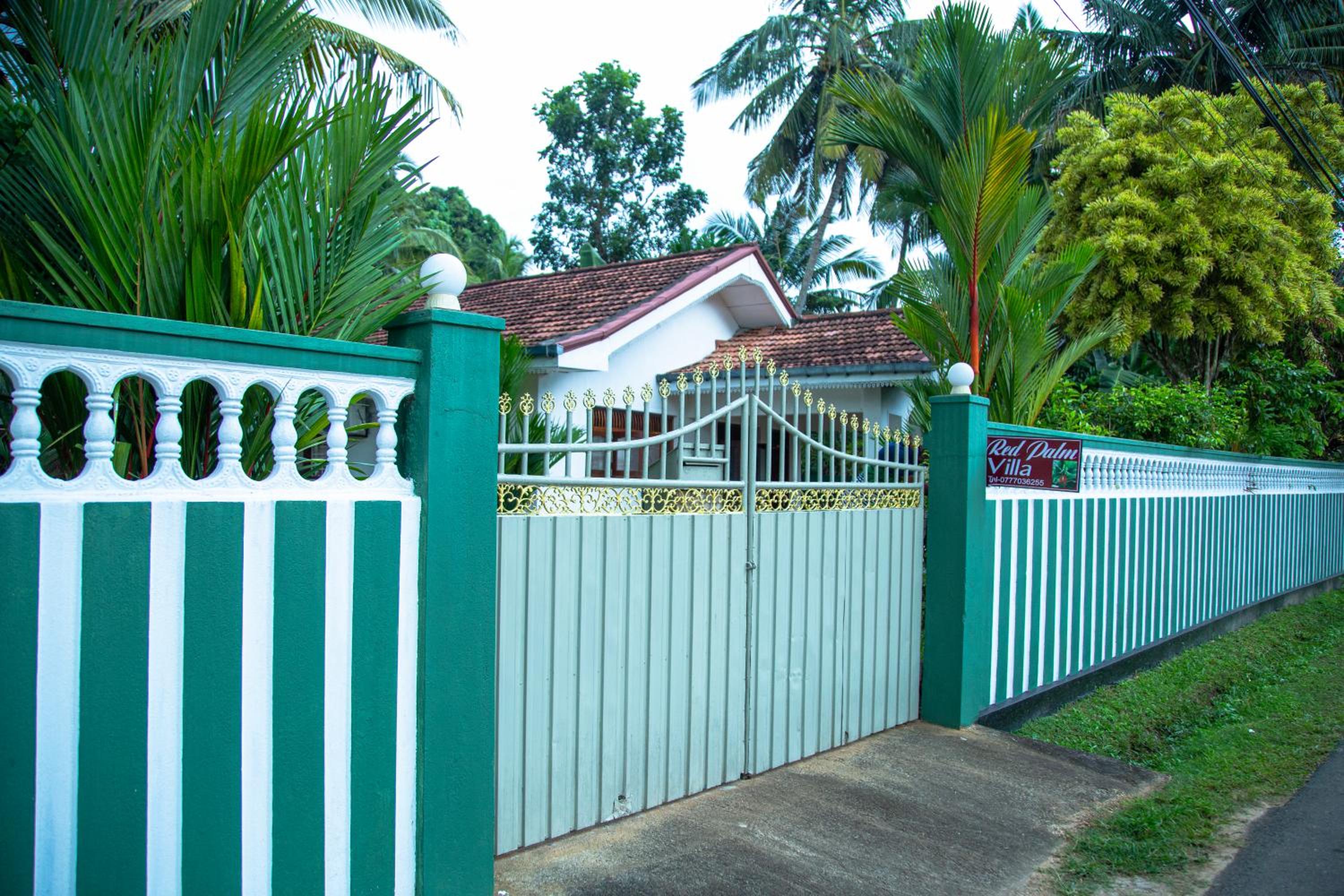 Photo 7