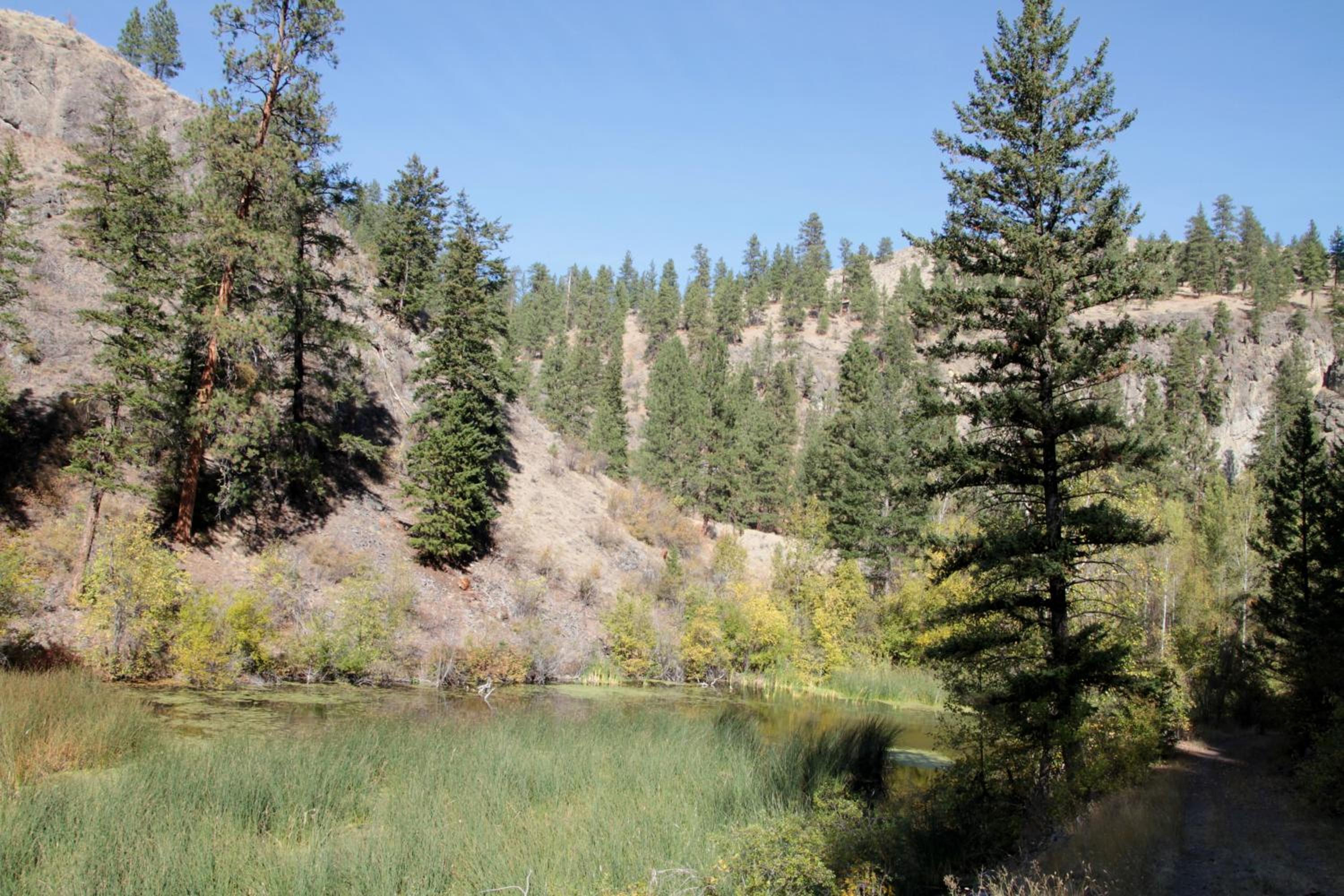 Mountain Springs Nature Retreat