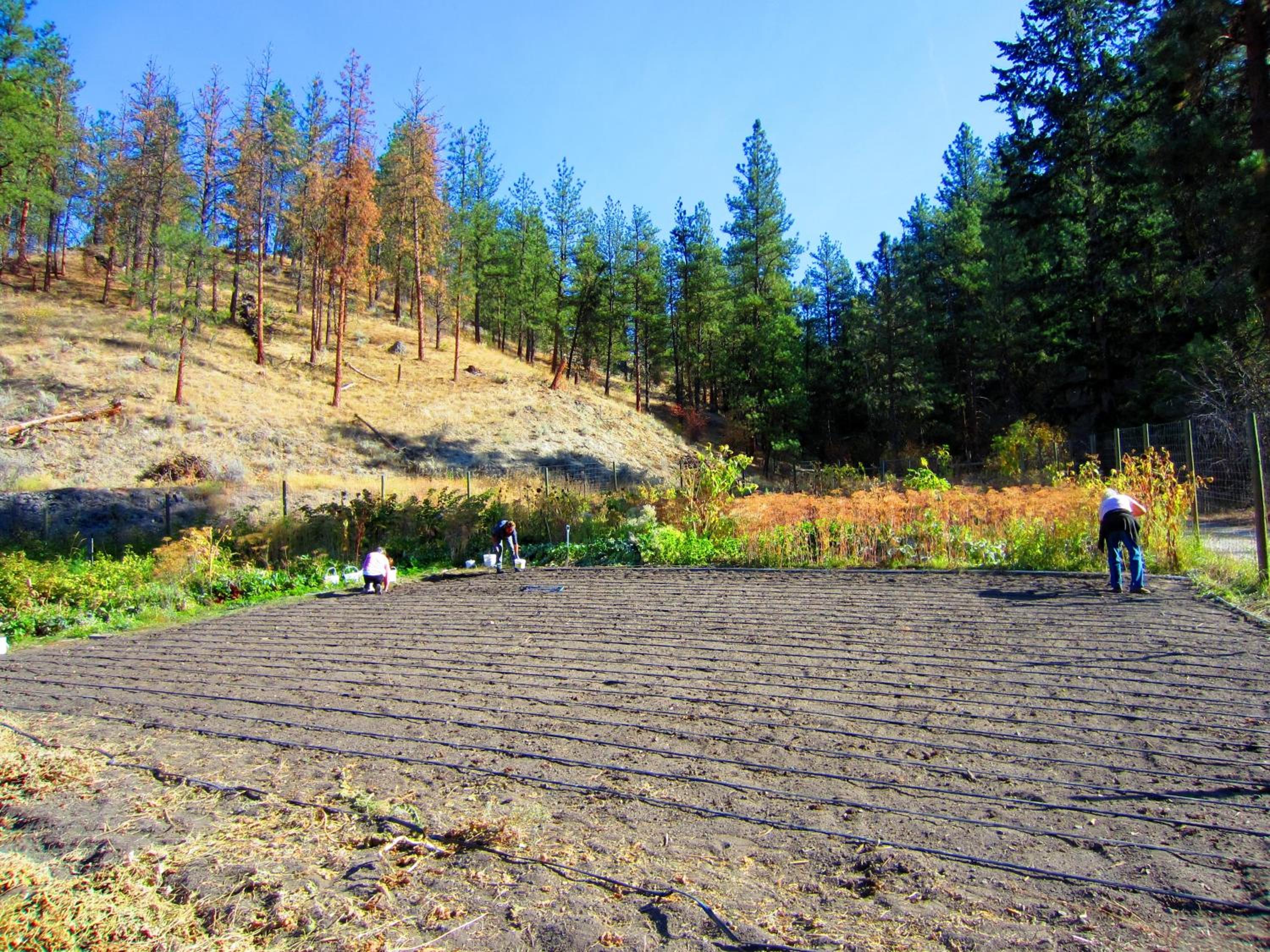 Mountain Springs Nature Retreat