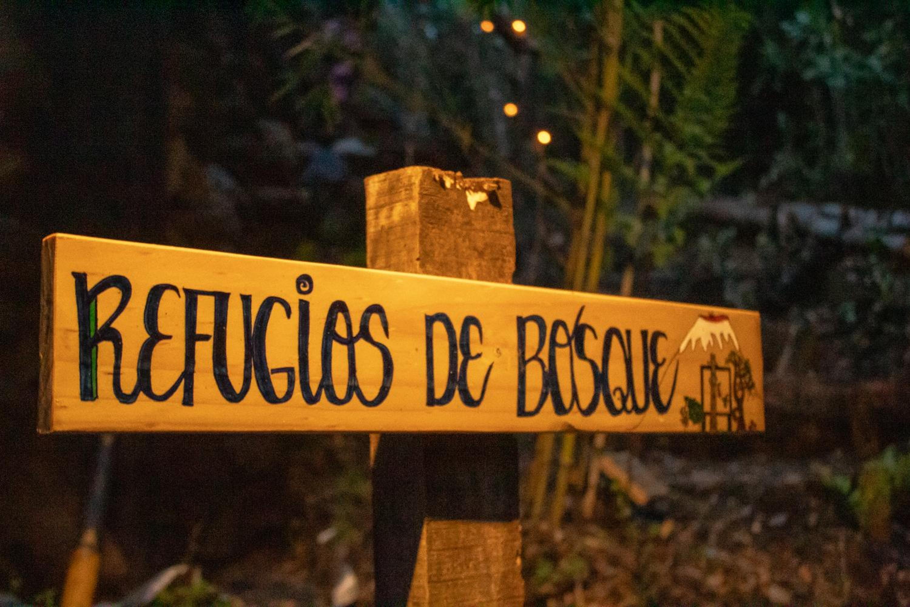 Refugios de bosque en Coñaripe