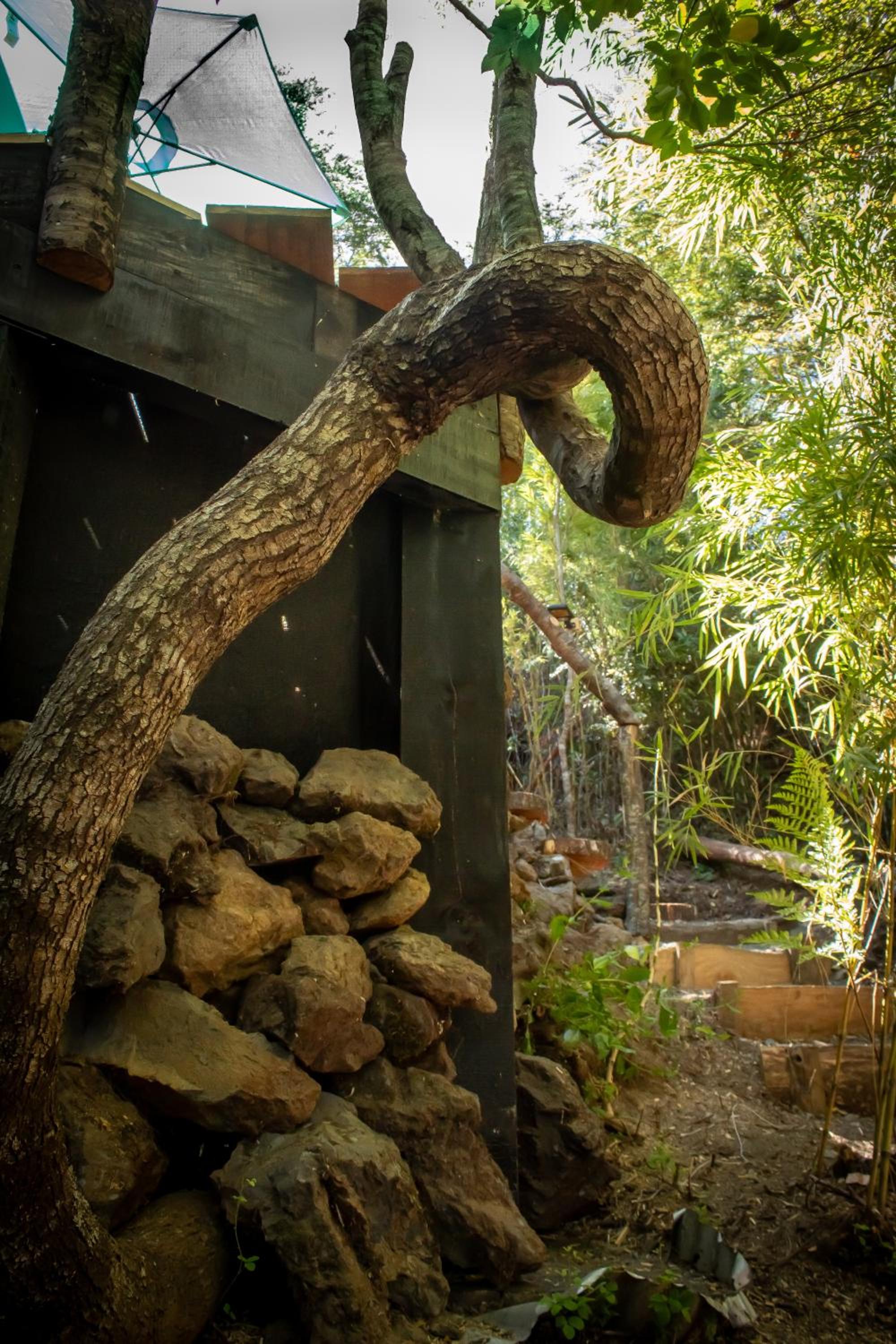 Refugios de bosque en Coñaripe