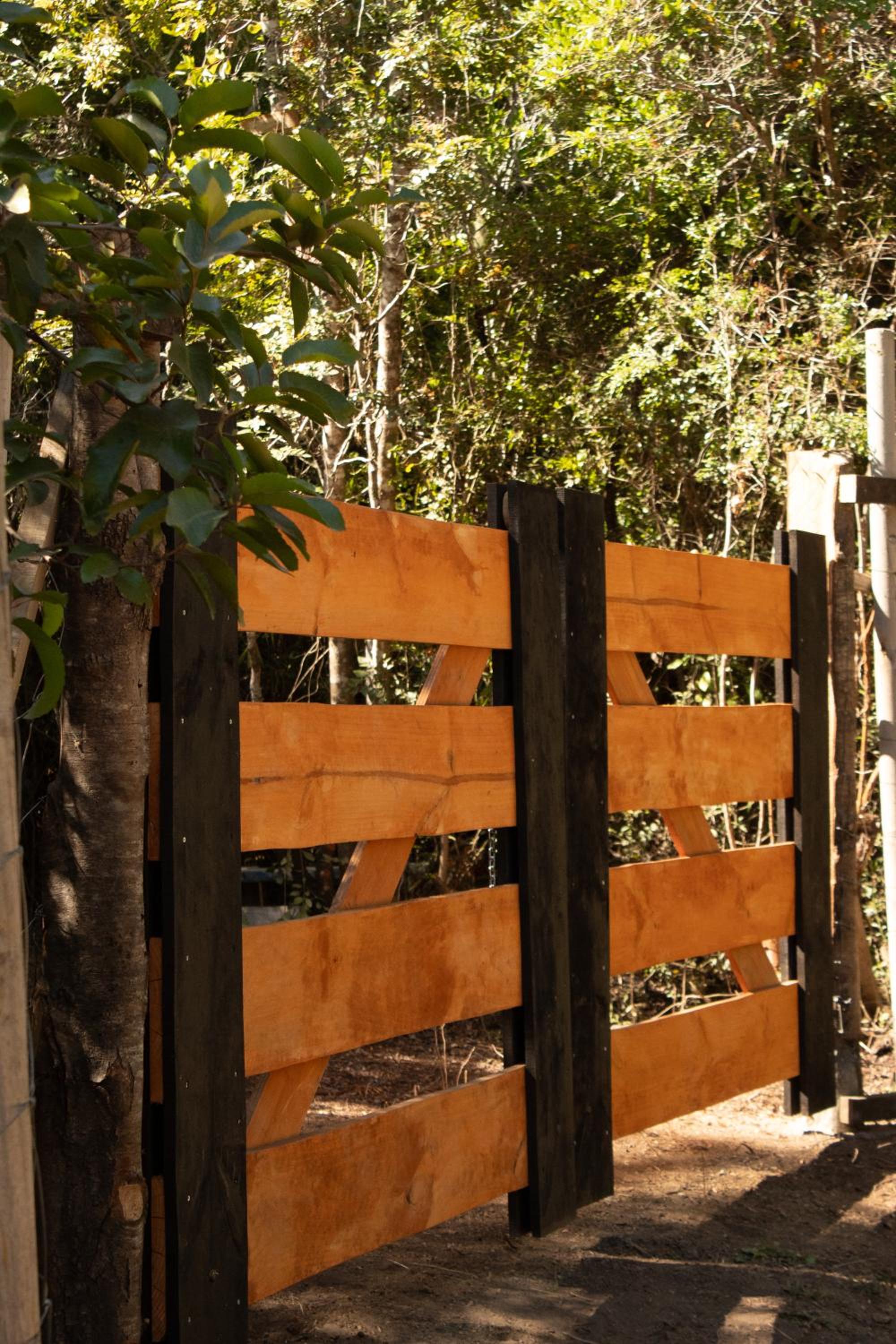 Refugios de bosque en Coñaripe