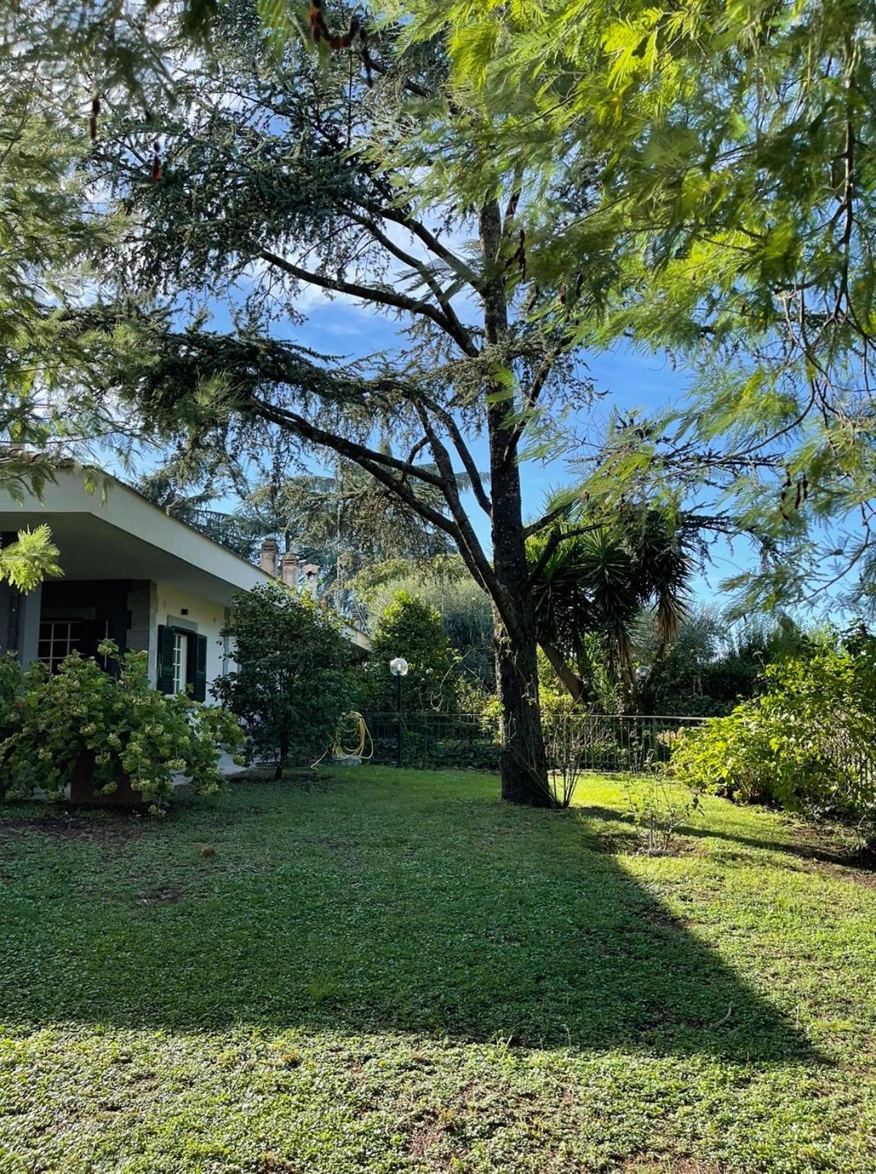 Delightful stylish house with private garden close to downtown