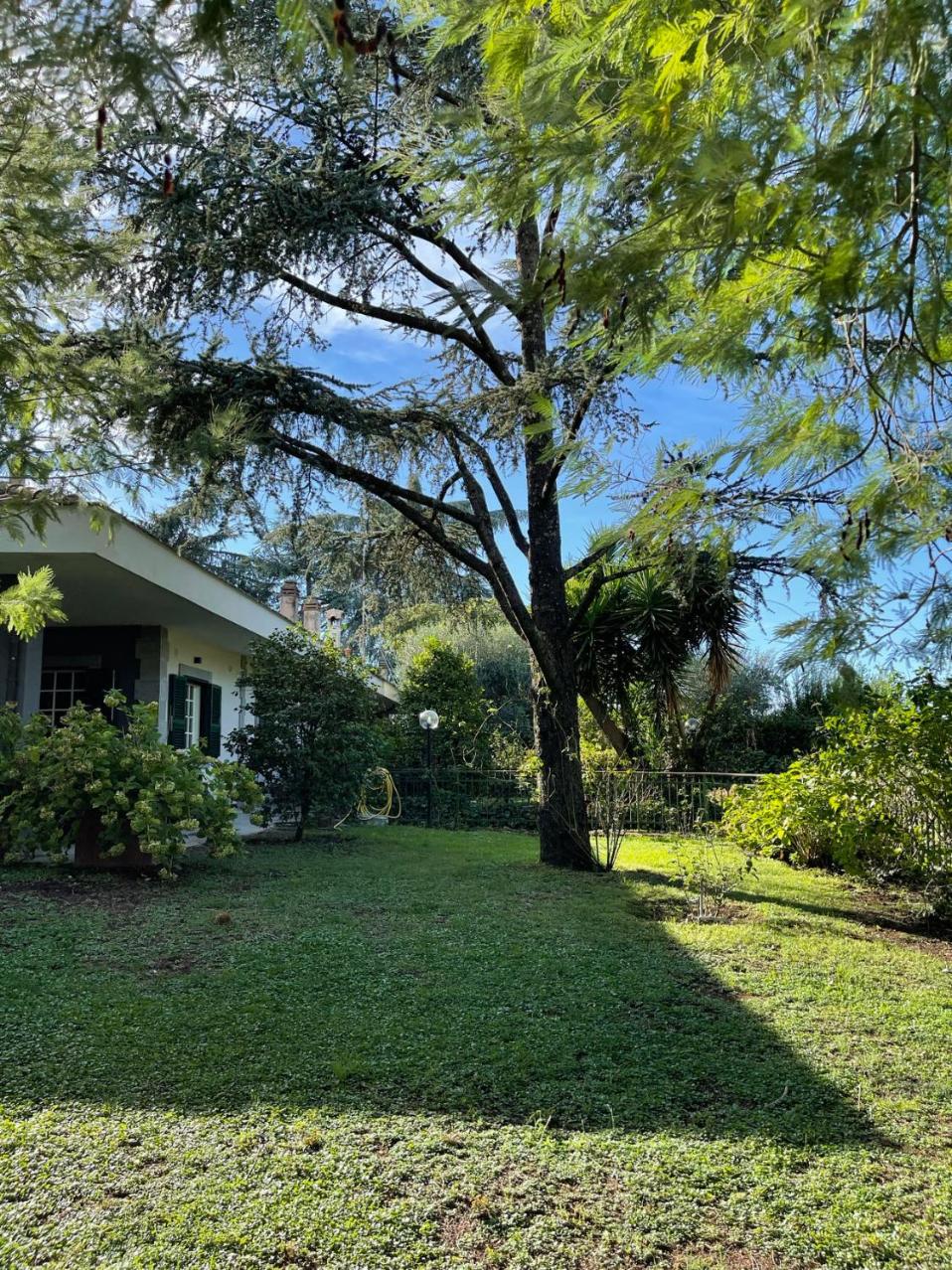 Delightful stylish house with private garden close to downtown
